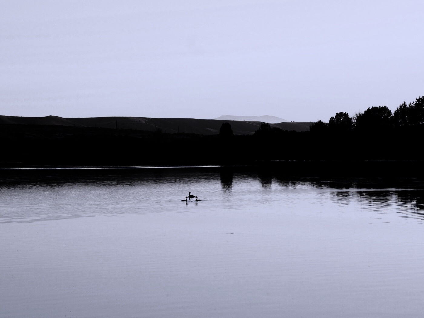 Утиное озеро обои