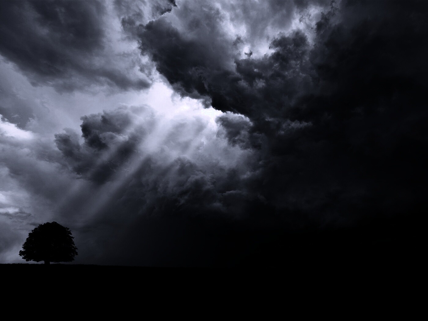 Избранный обои