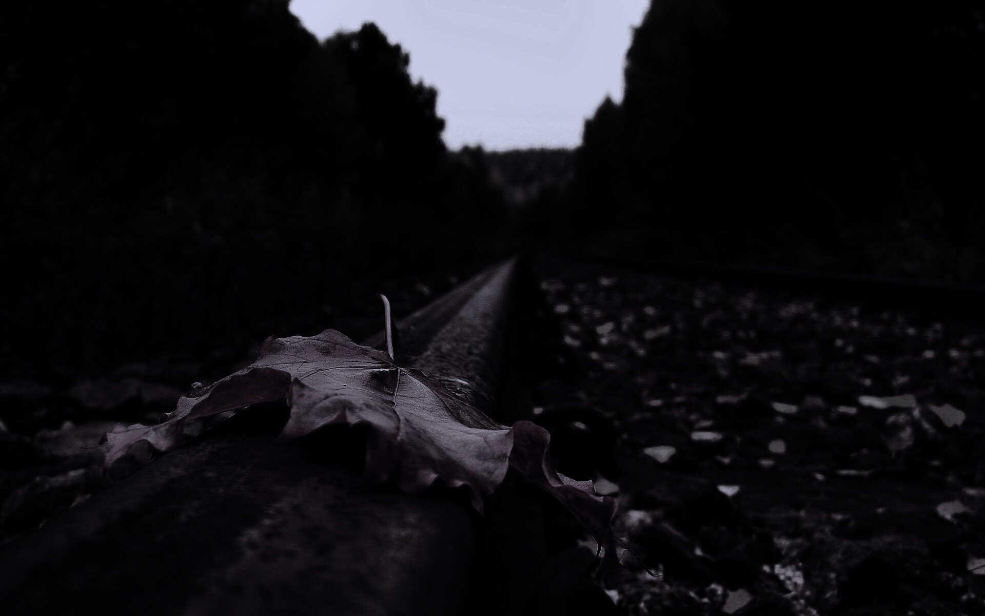 Ржавые рельсы обои