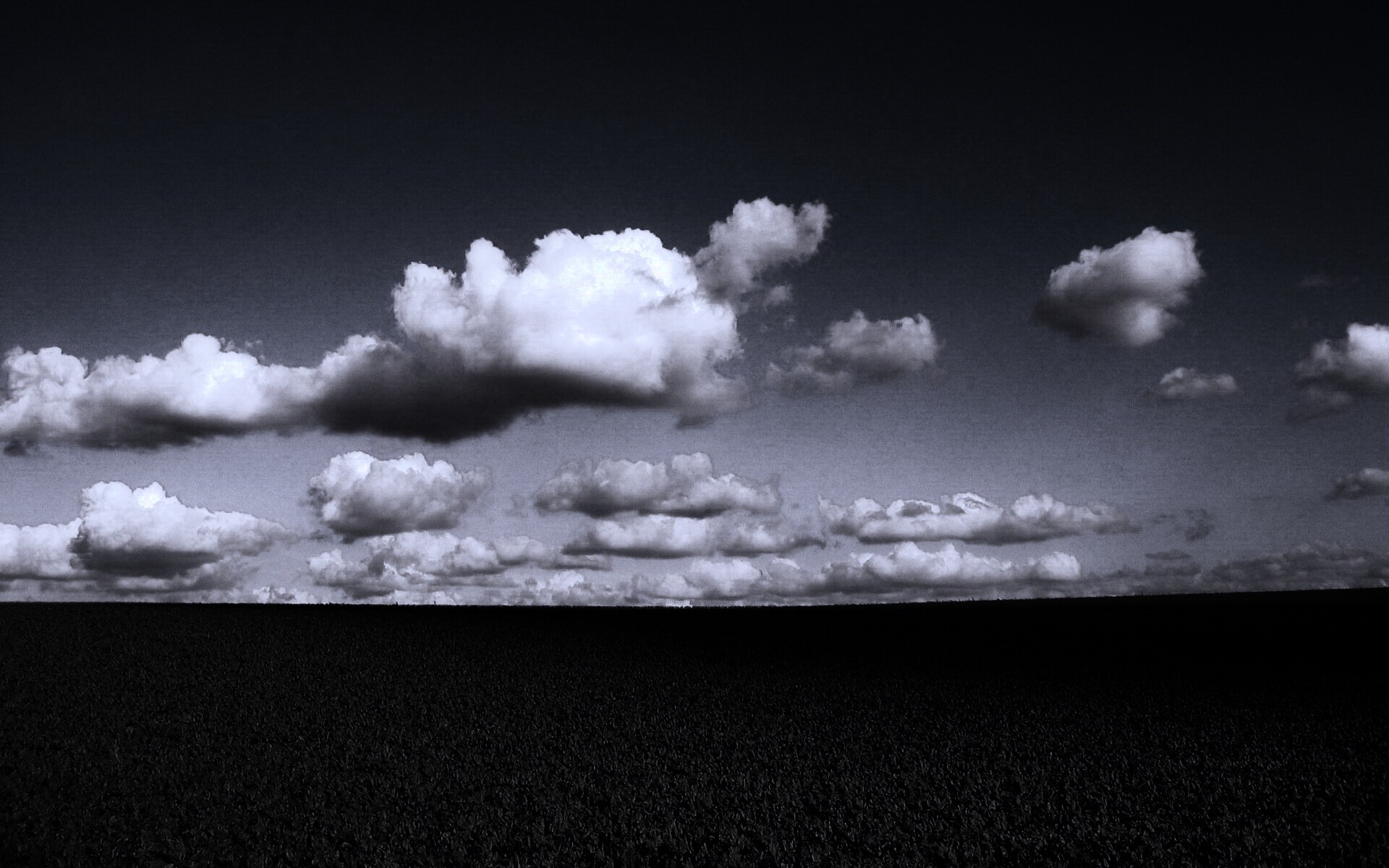 Обака над бескрайними полями обои