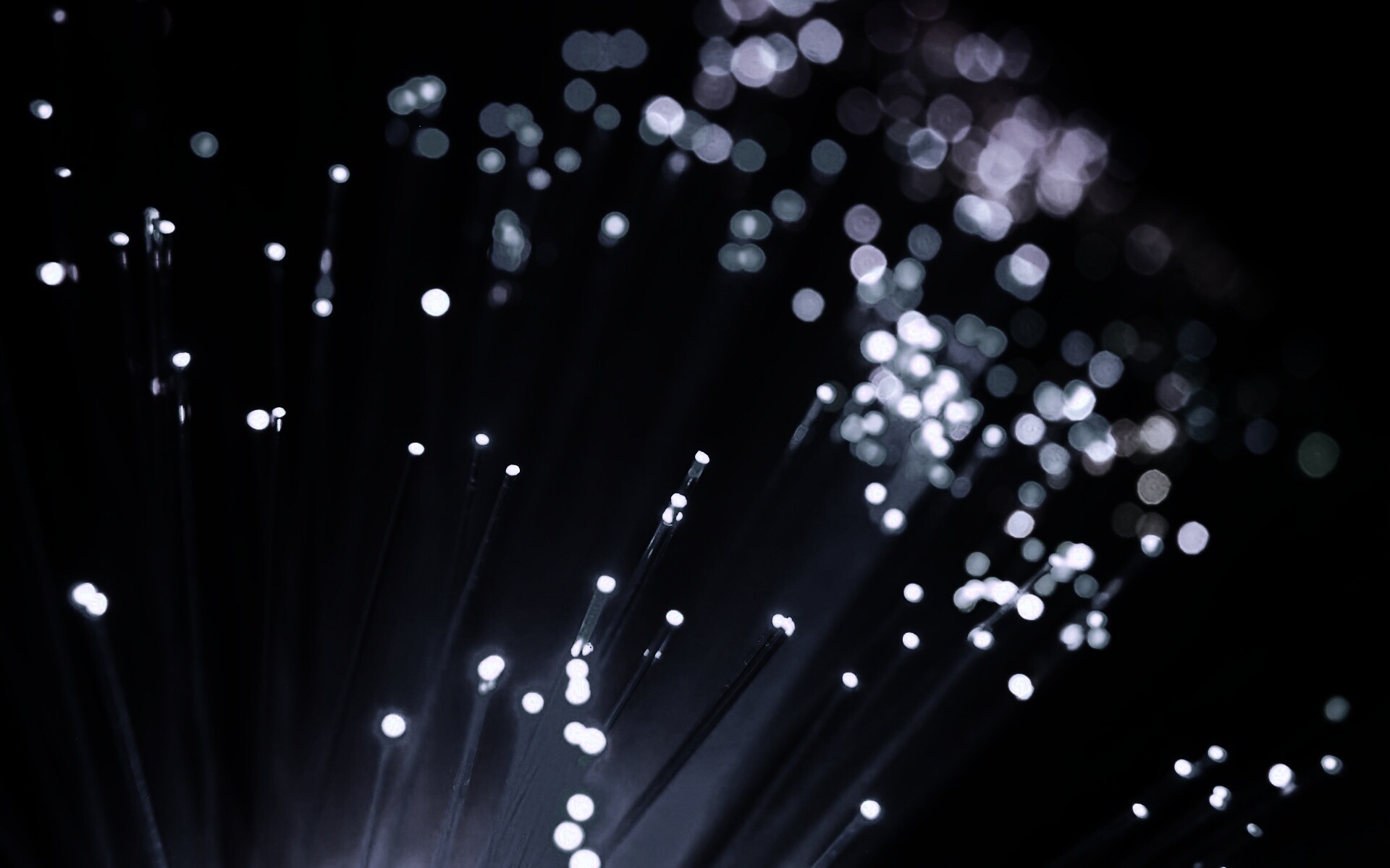 Огоньки на оптоволокне обои