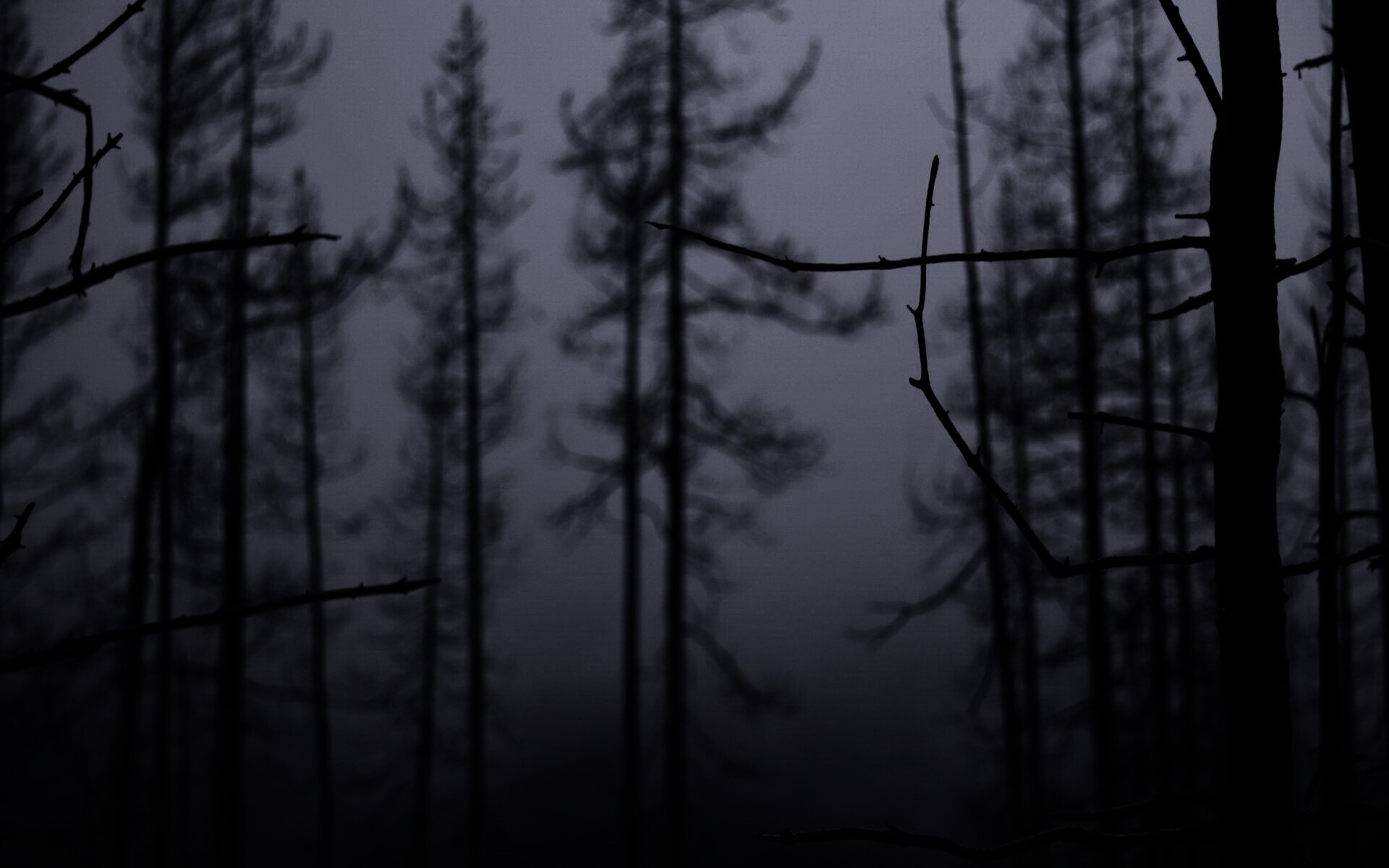 Безысходность обои