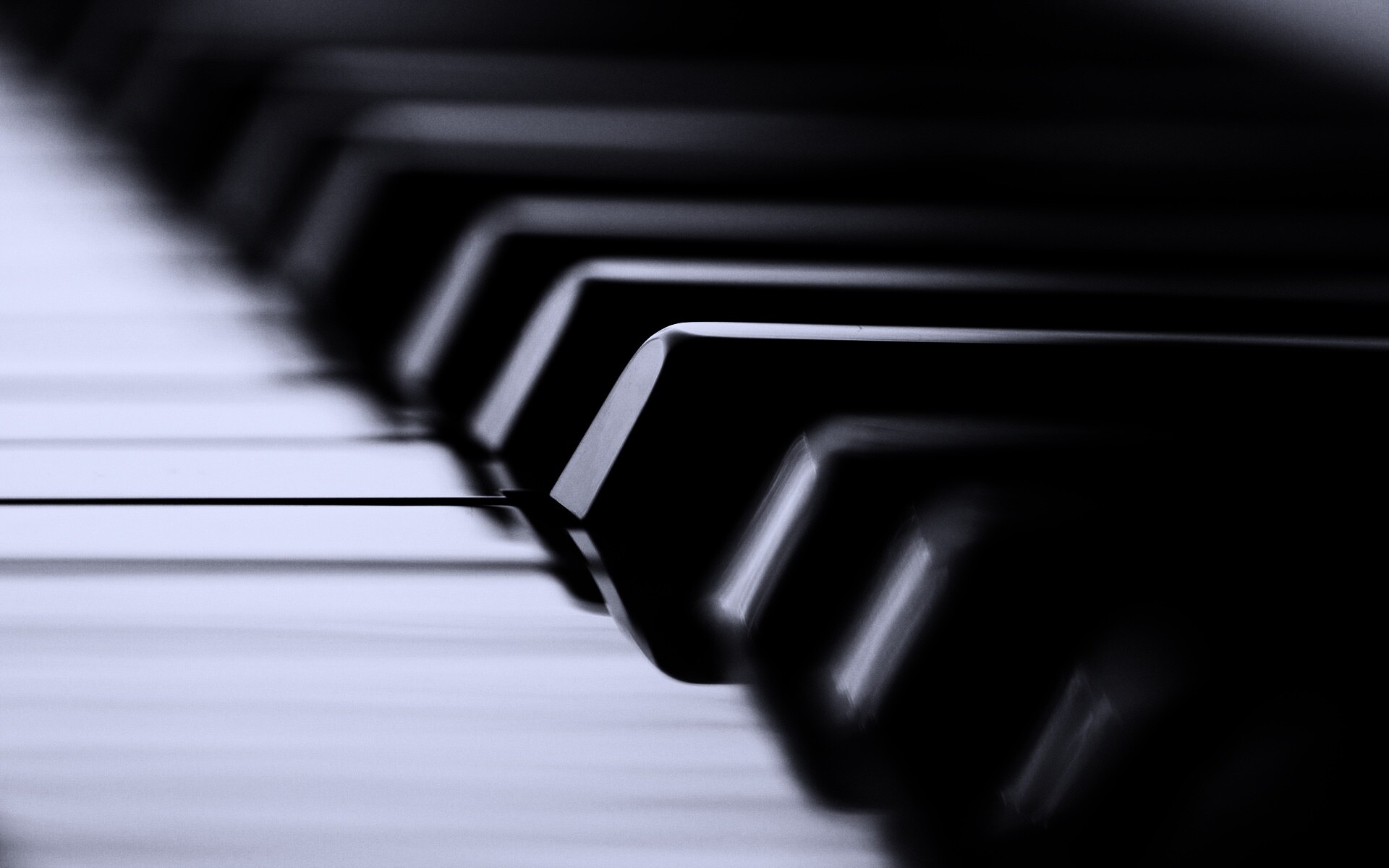 Клавиши  рояля обои