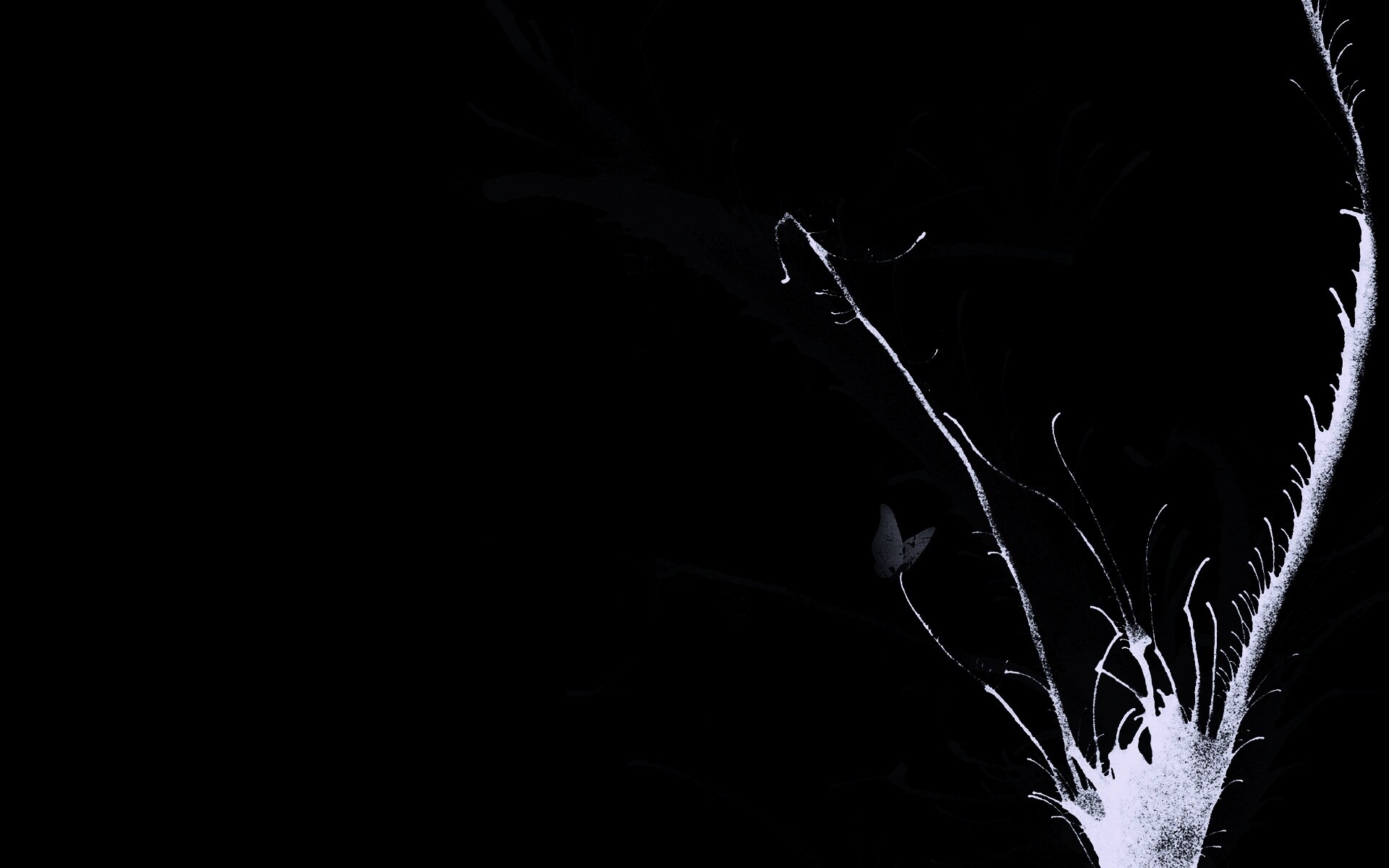 Абстракция из брызг обои