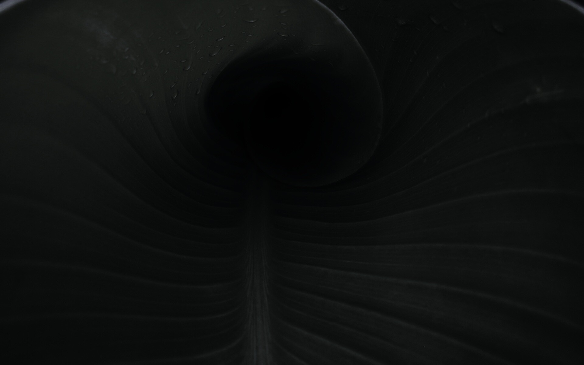 Свернутый в трубочку лист обои