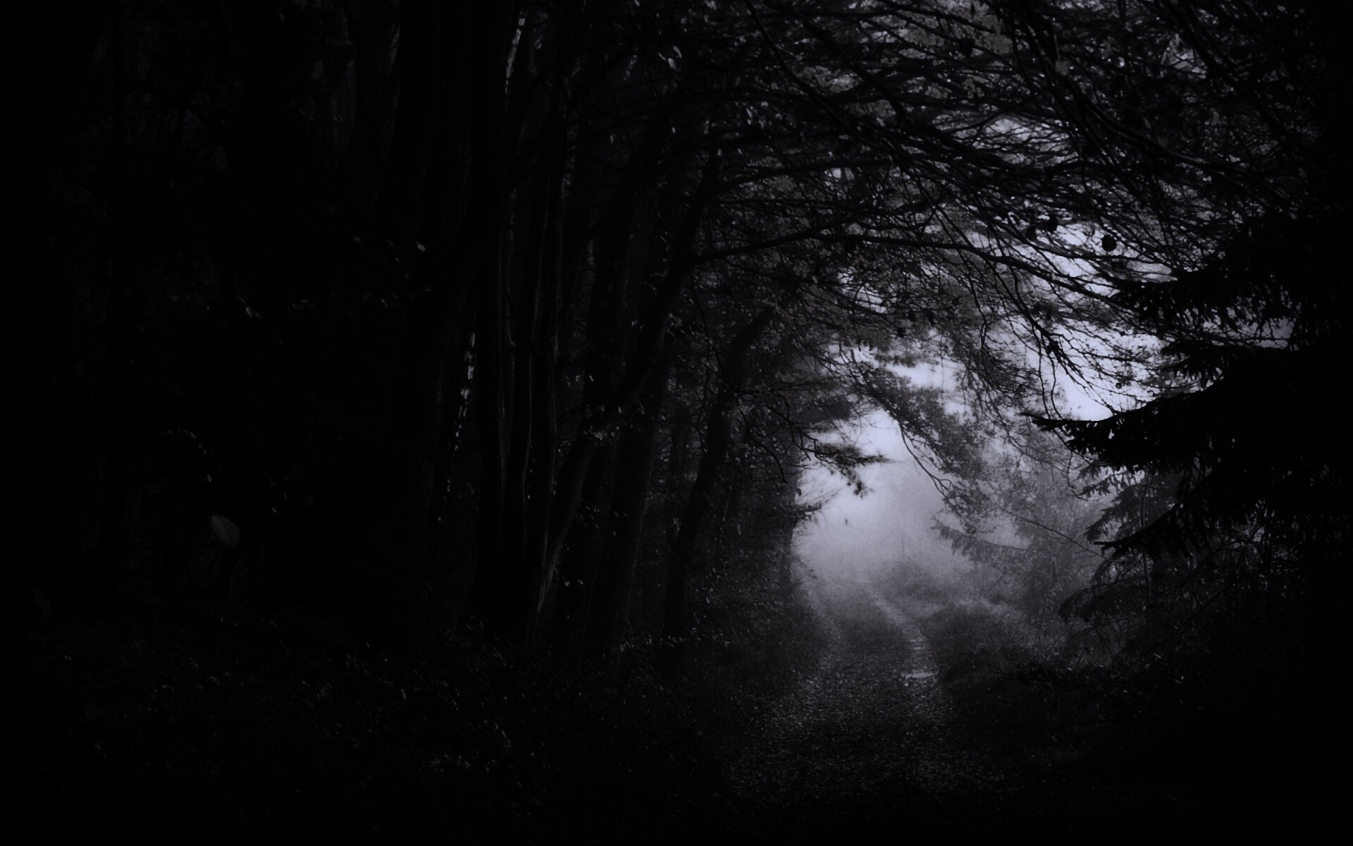 Дорожка заваленная листьями обои