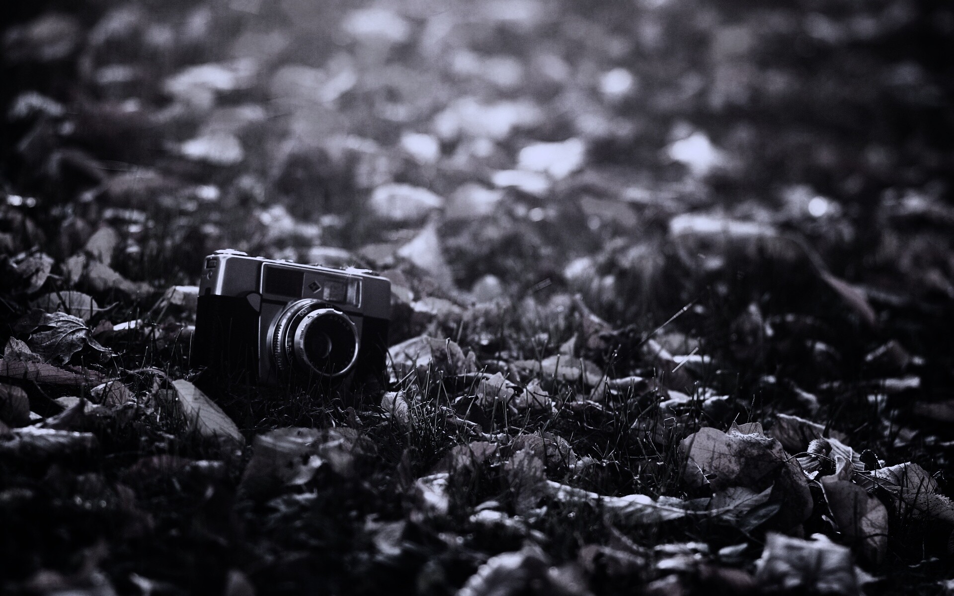 Старый фотоаппарат в траве обои