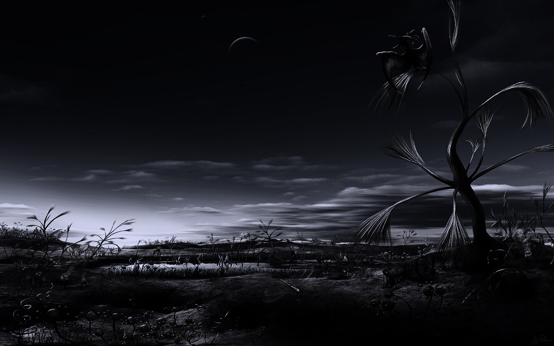 Флора и фауна другой планеты обои