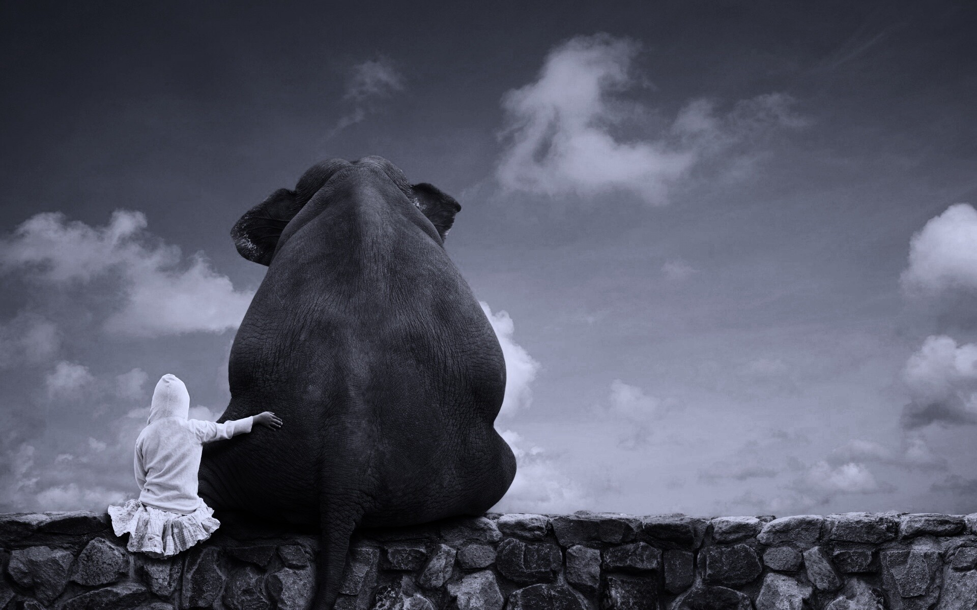 Девочка и слон обои