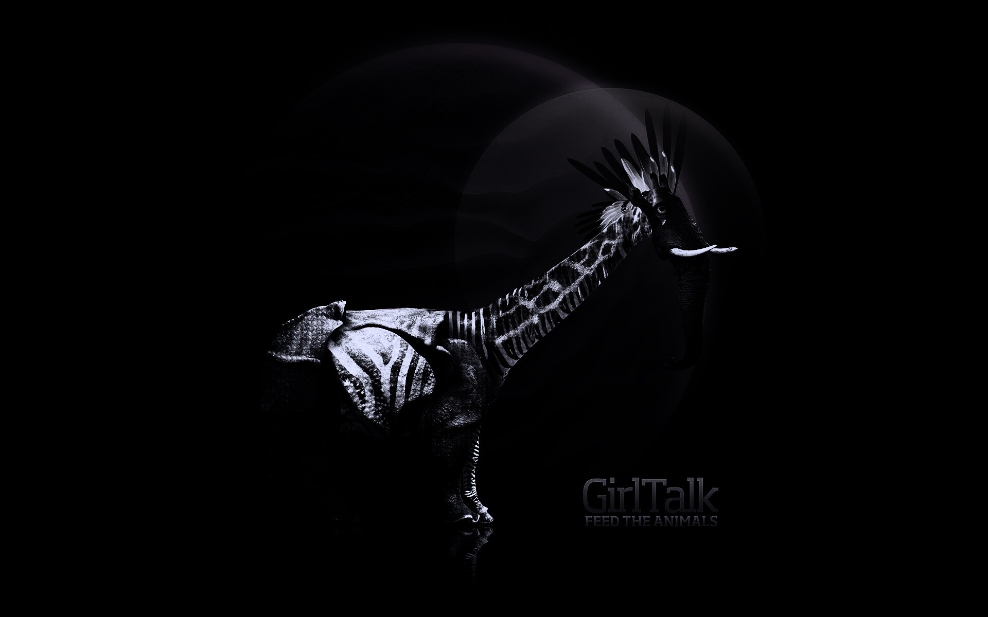 Странный зверь обои