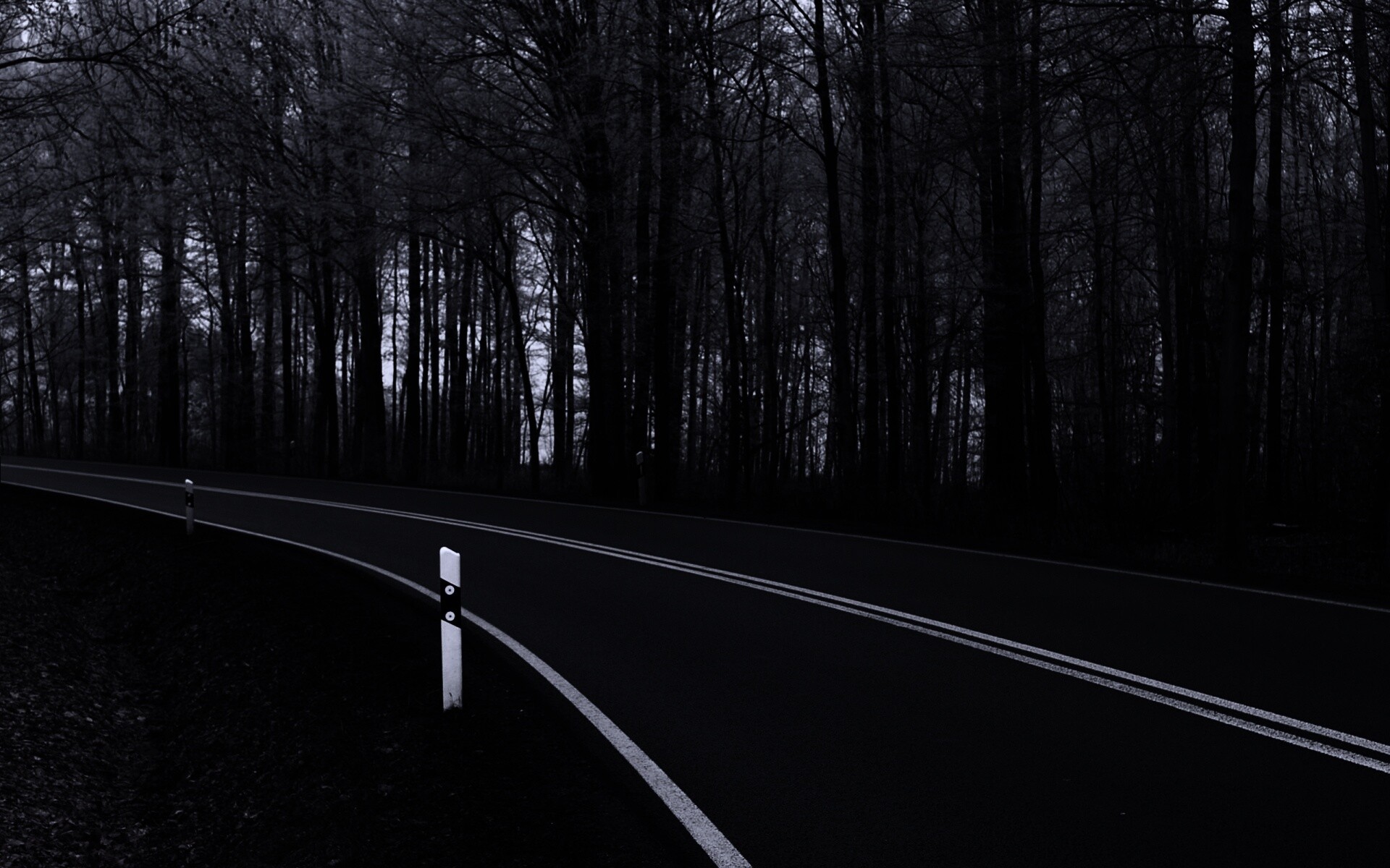 Дорога в осеннем лесу обои