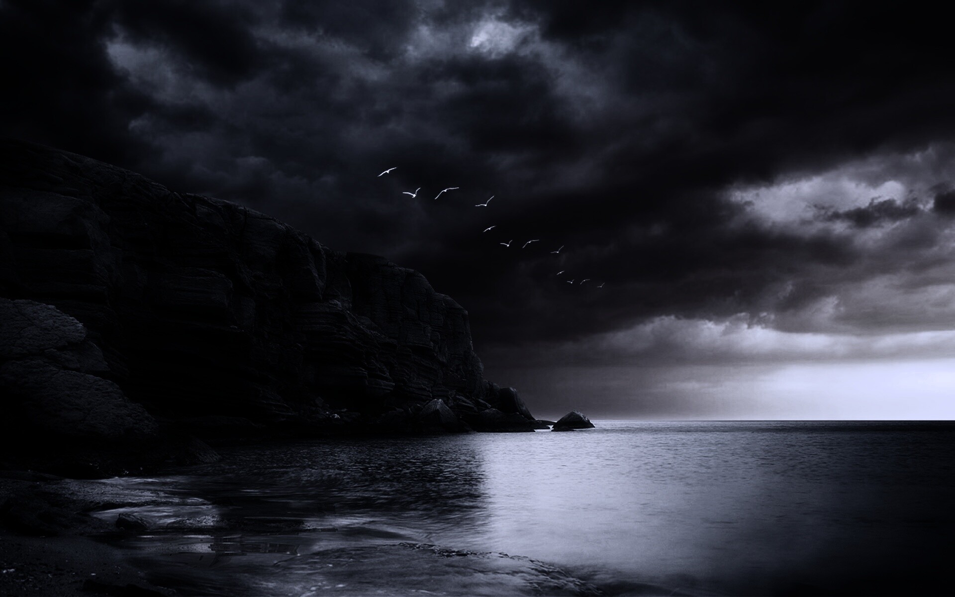 Чайки над скалами обои