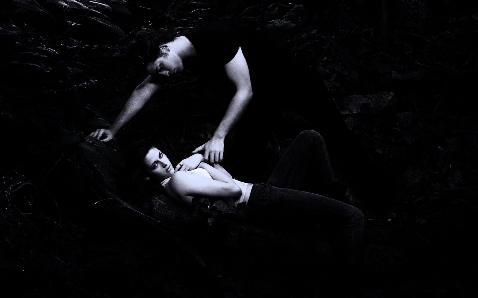 Эдвард и Белла в лесу обои