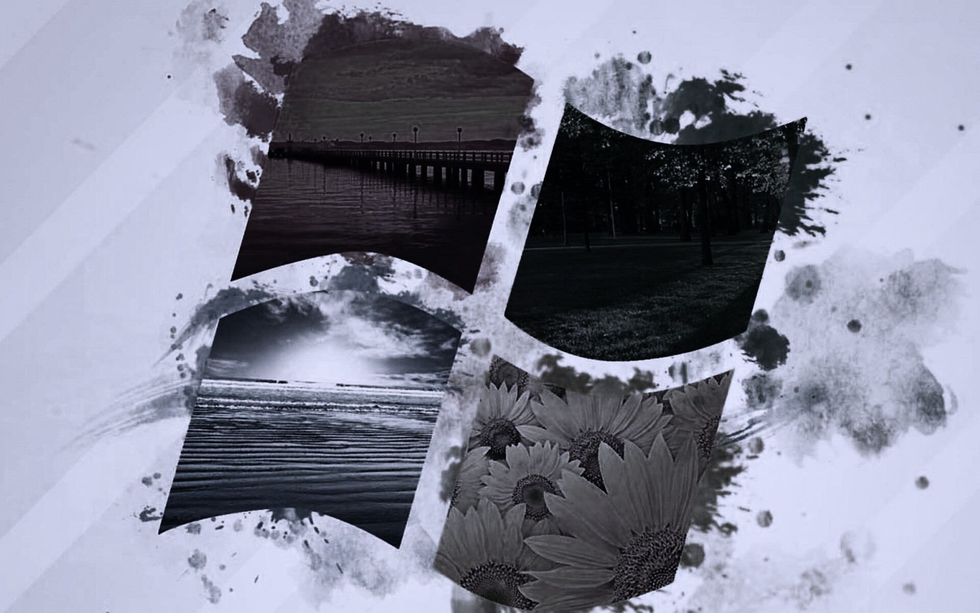 Логотип Winfdows bз фотографий природы обои