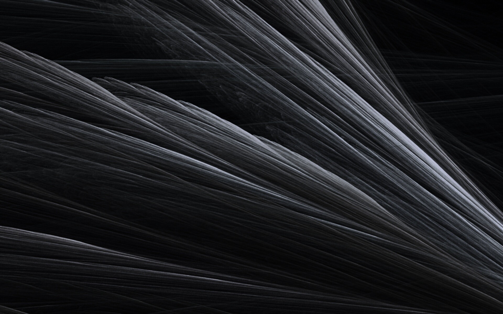 Прозрачные зеленоватые крылья обои