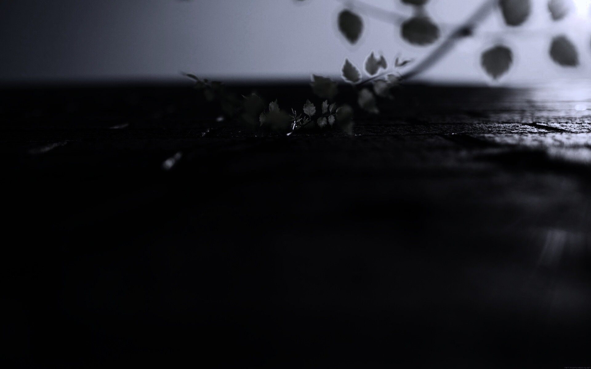 Зеленые ростки в стене обои