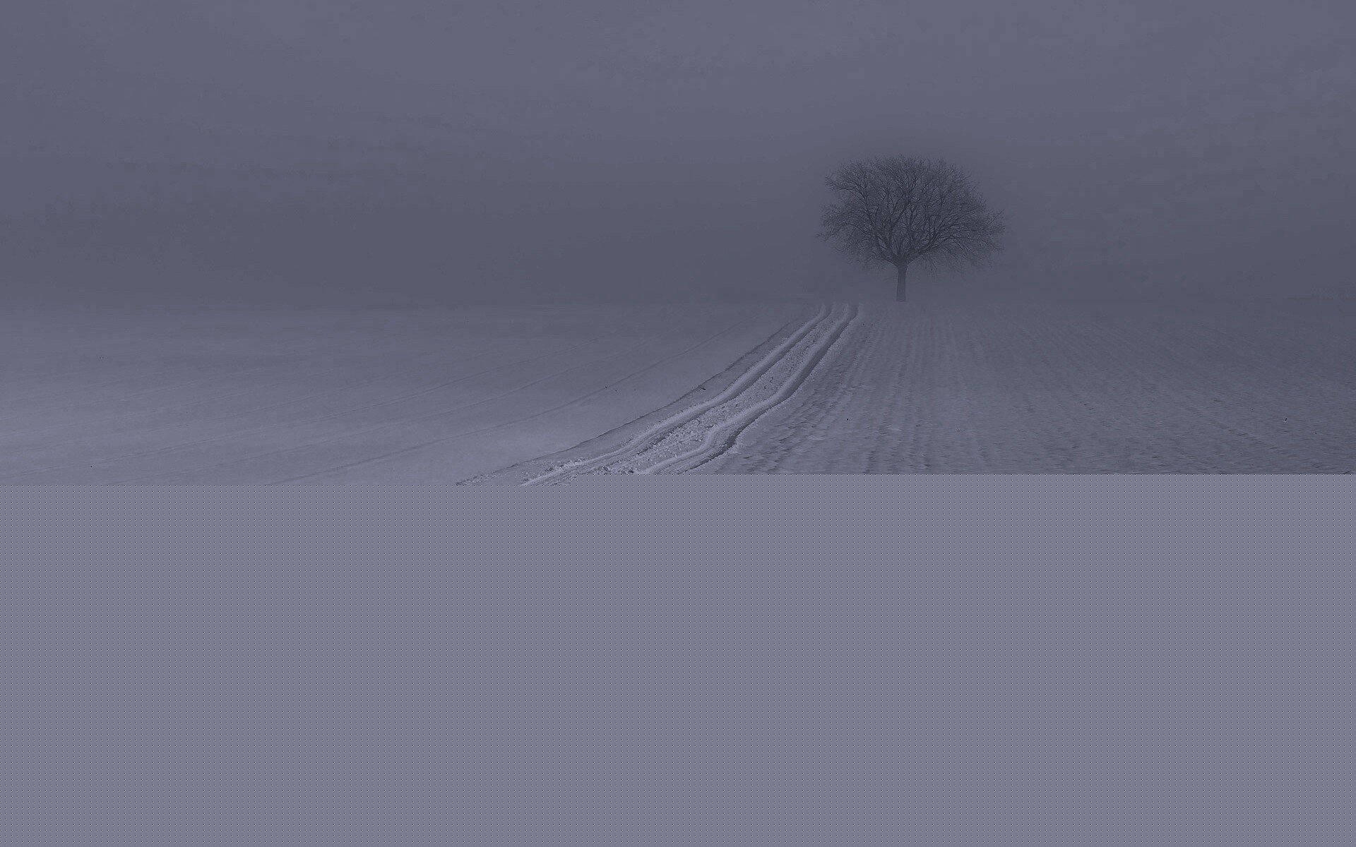 Заснеженное поле обои