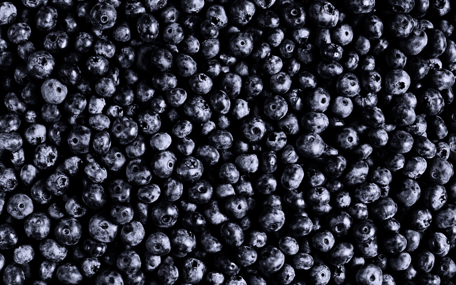 Черника обои