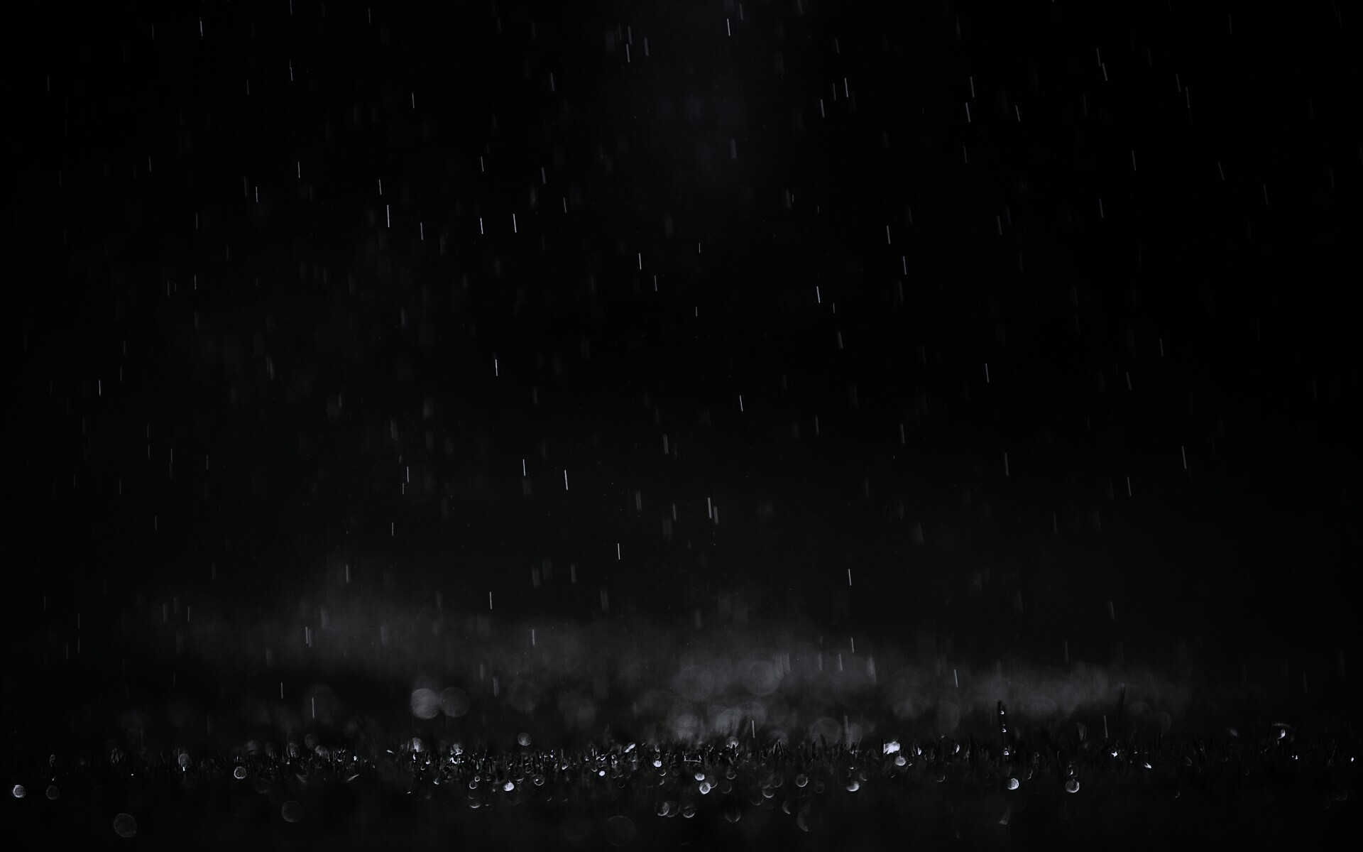 Трава под дождем обои