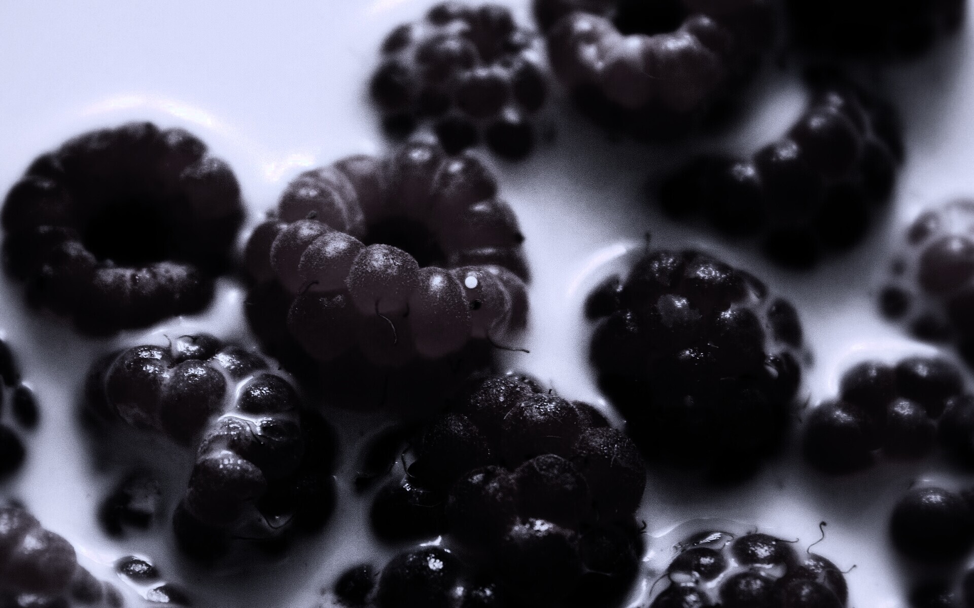 Малина в молоке обои