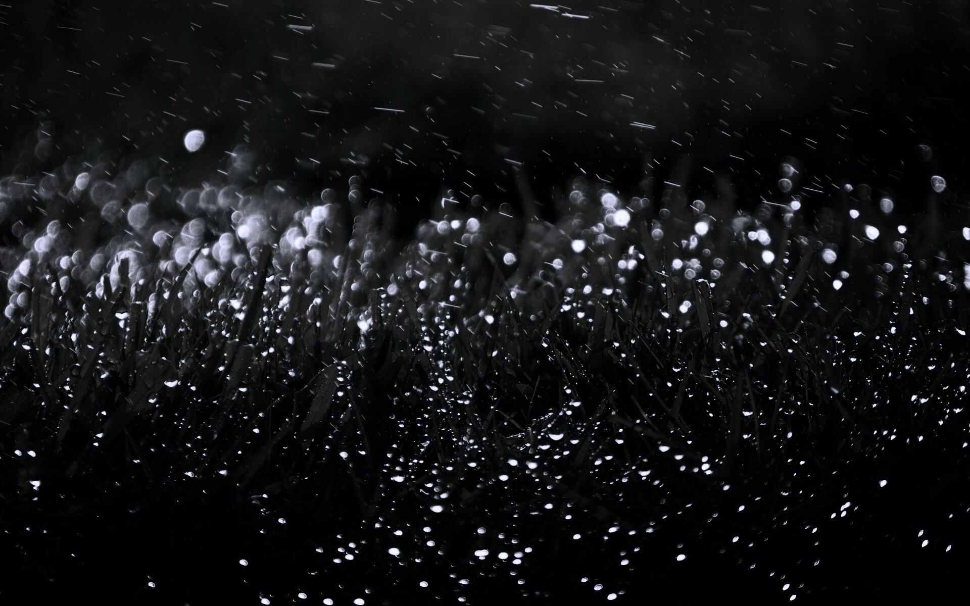 Роса на траве обои