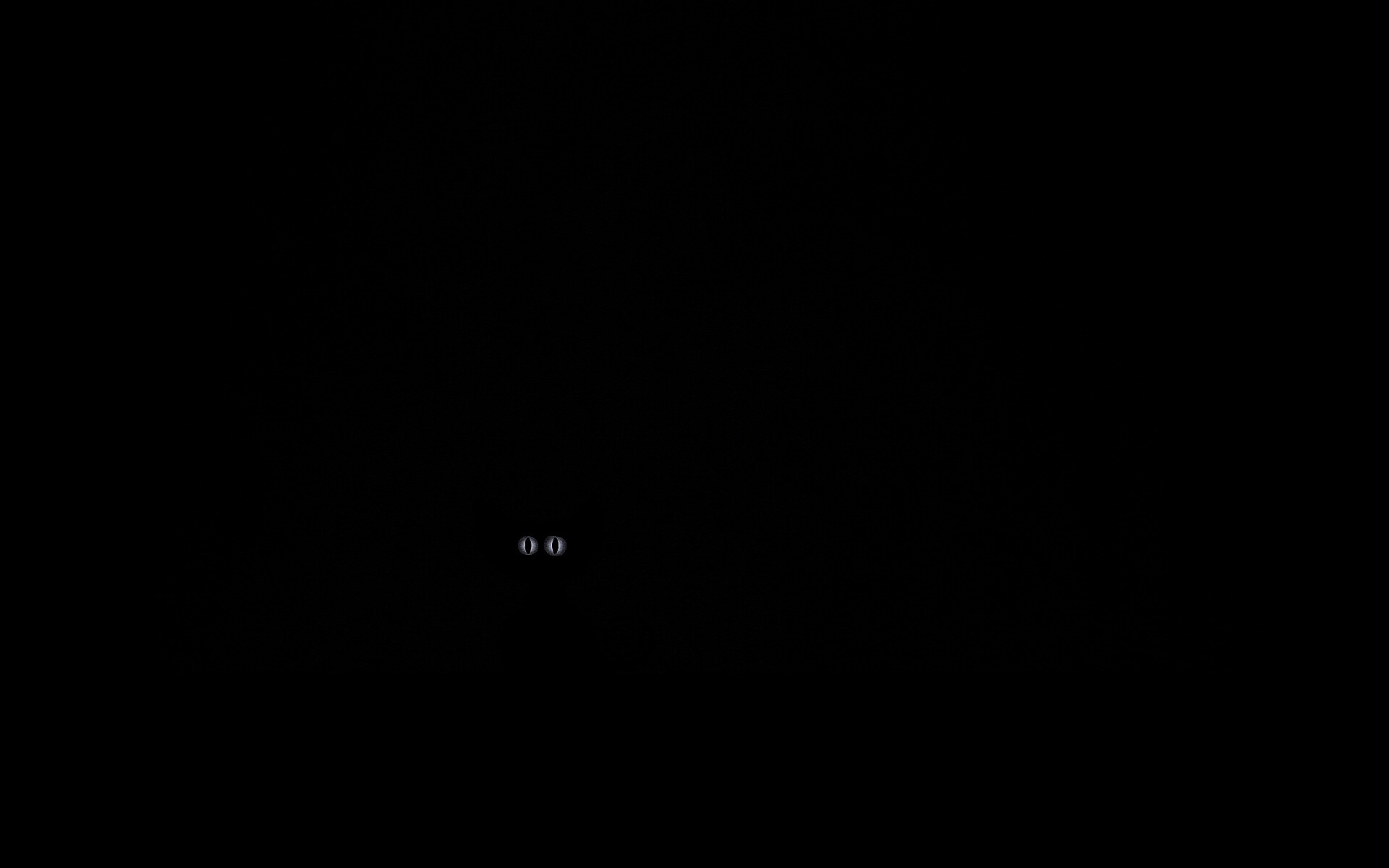 Чёрный кот в ночи обои