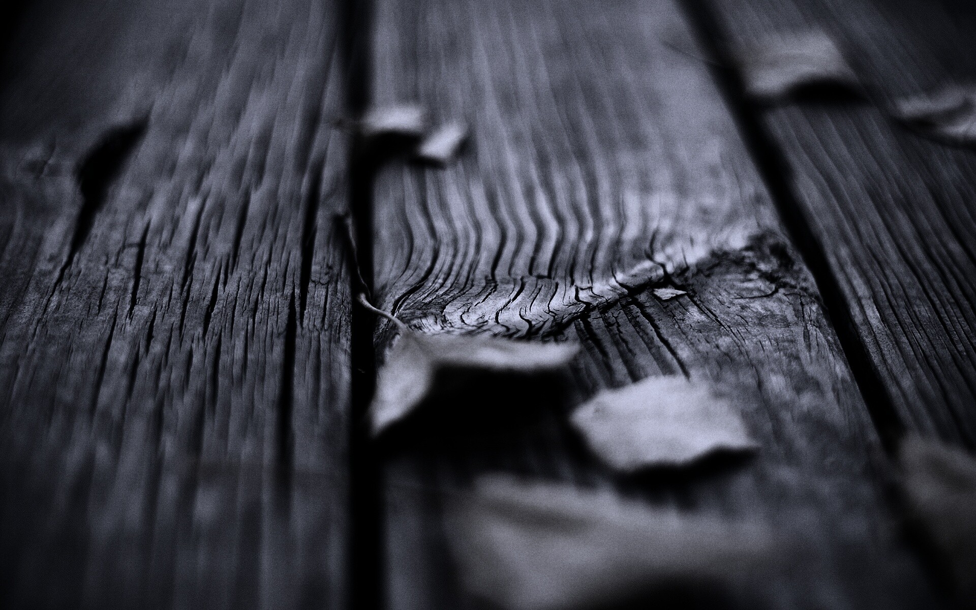 Листья на дощатом полу обои