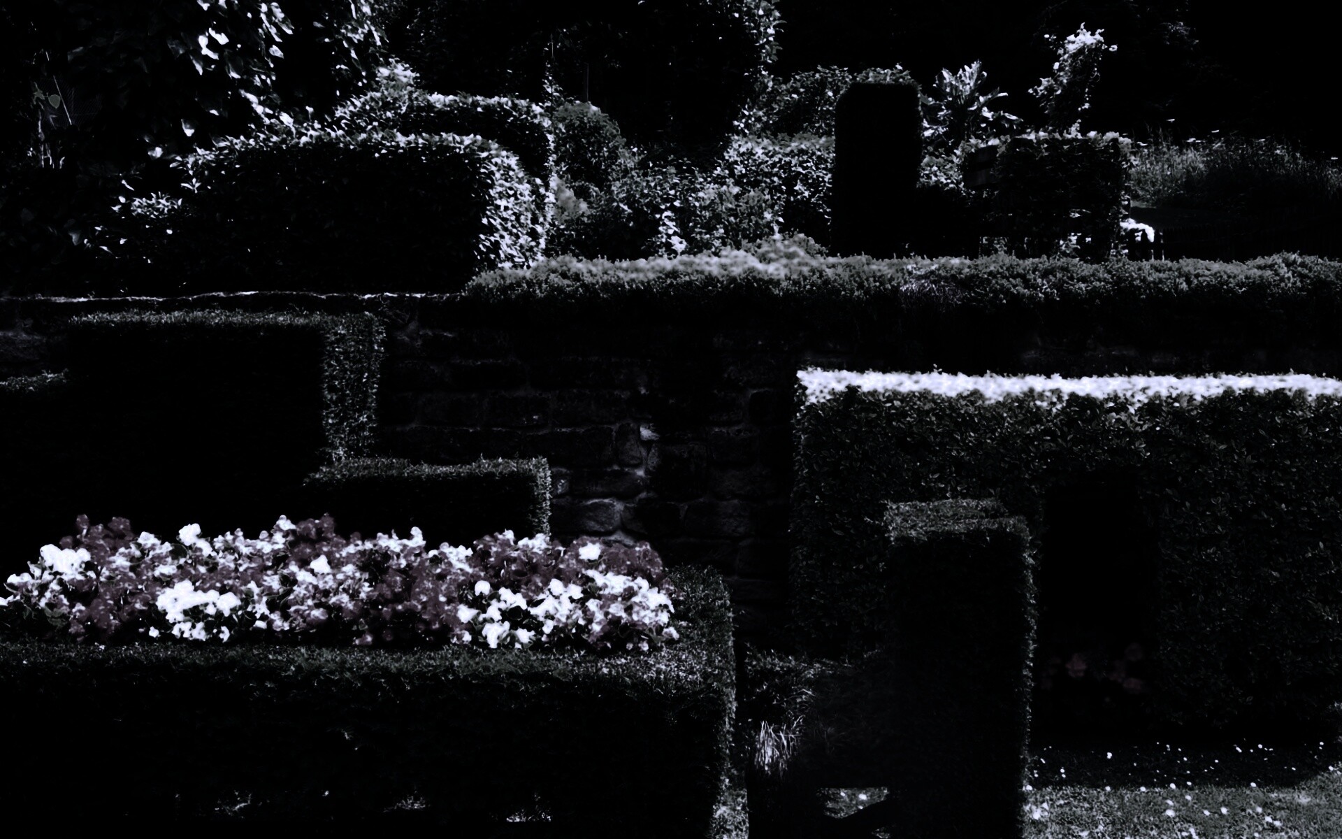 Декоративный сад обои