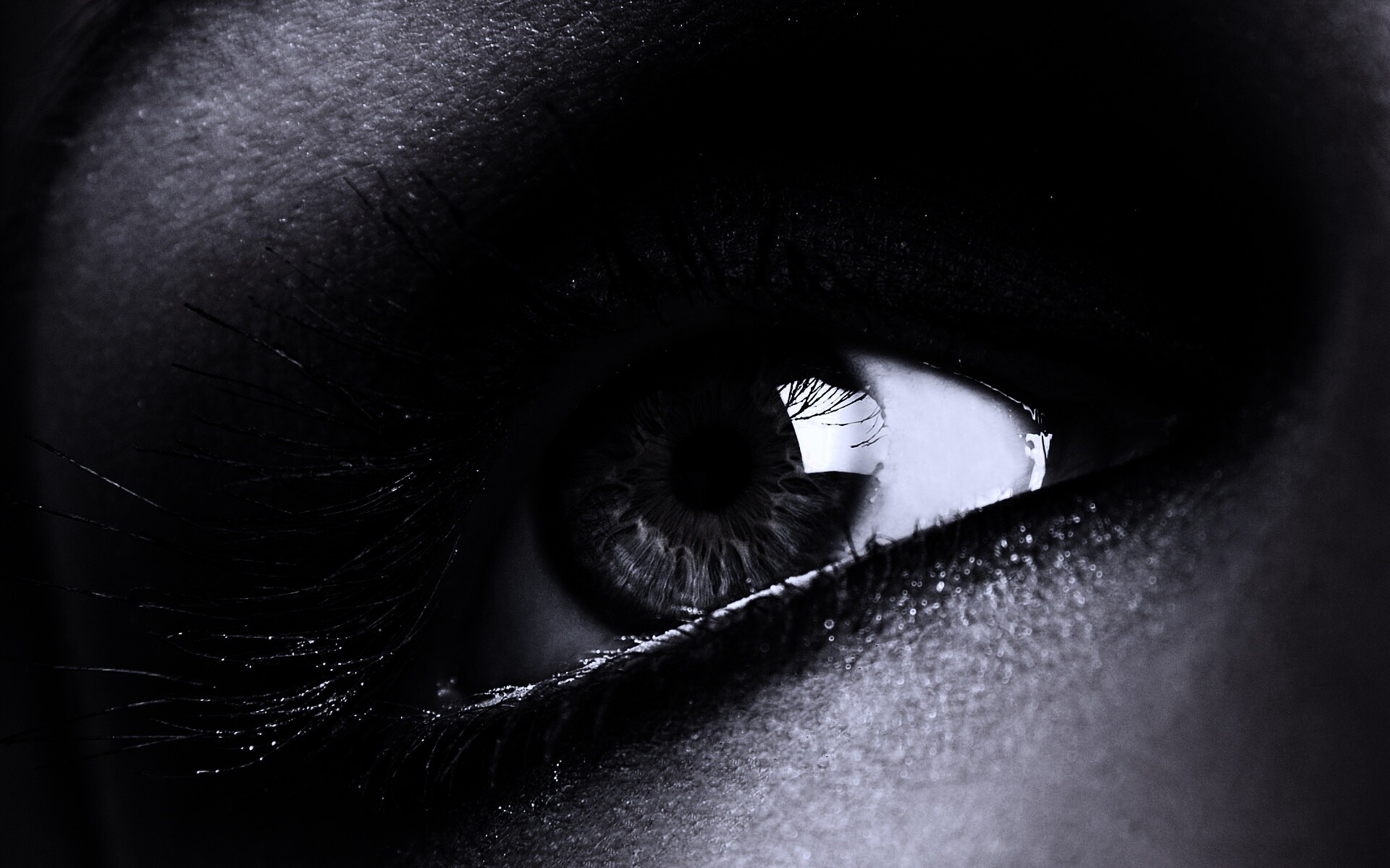 Оранжевый глаз обои