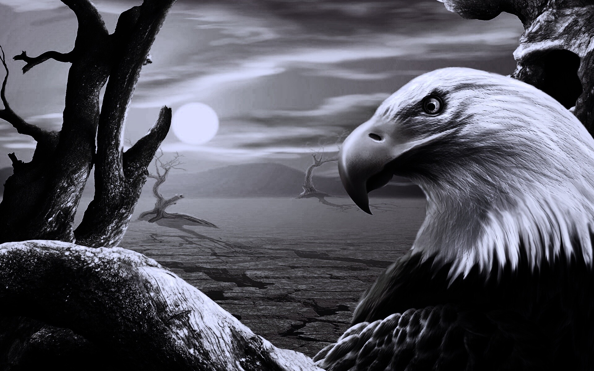 Нарисованный орел обои