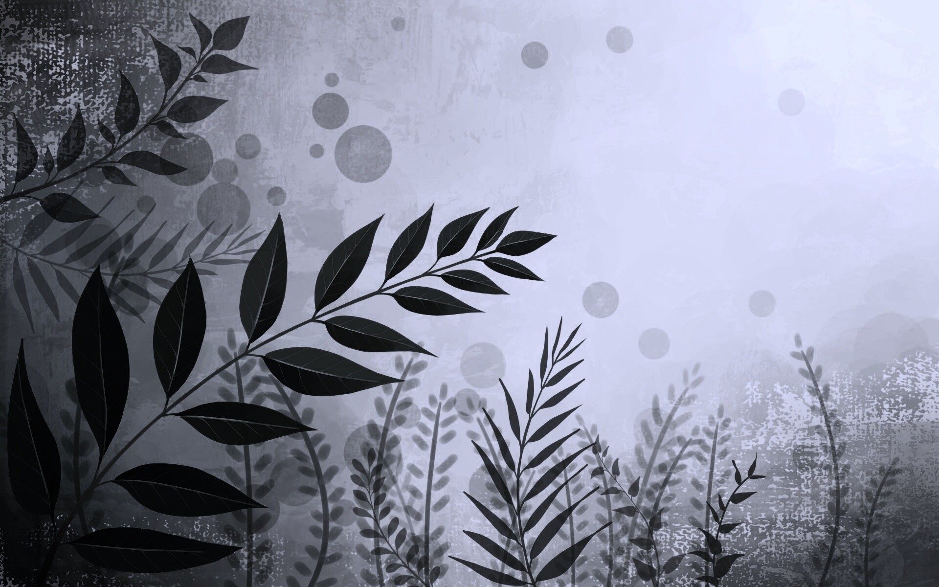 Веточка молодых листьев обои