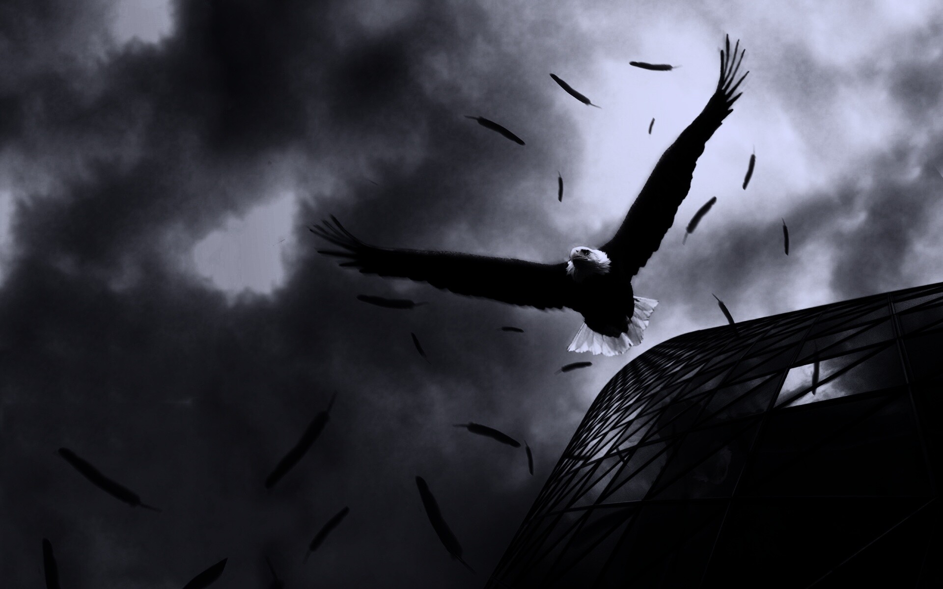 Орлиный полет обои