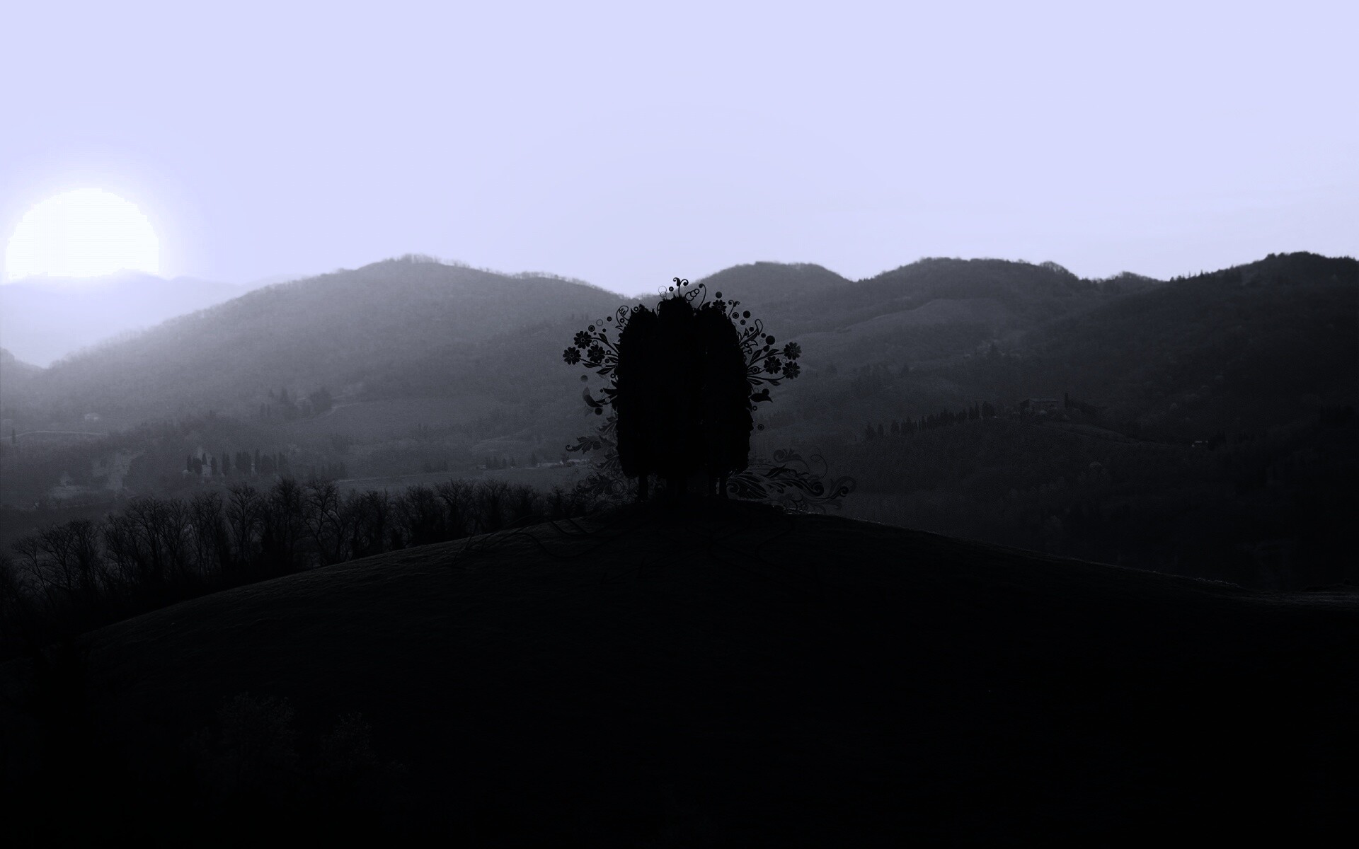 Деревья на холме обои