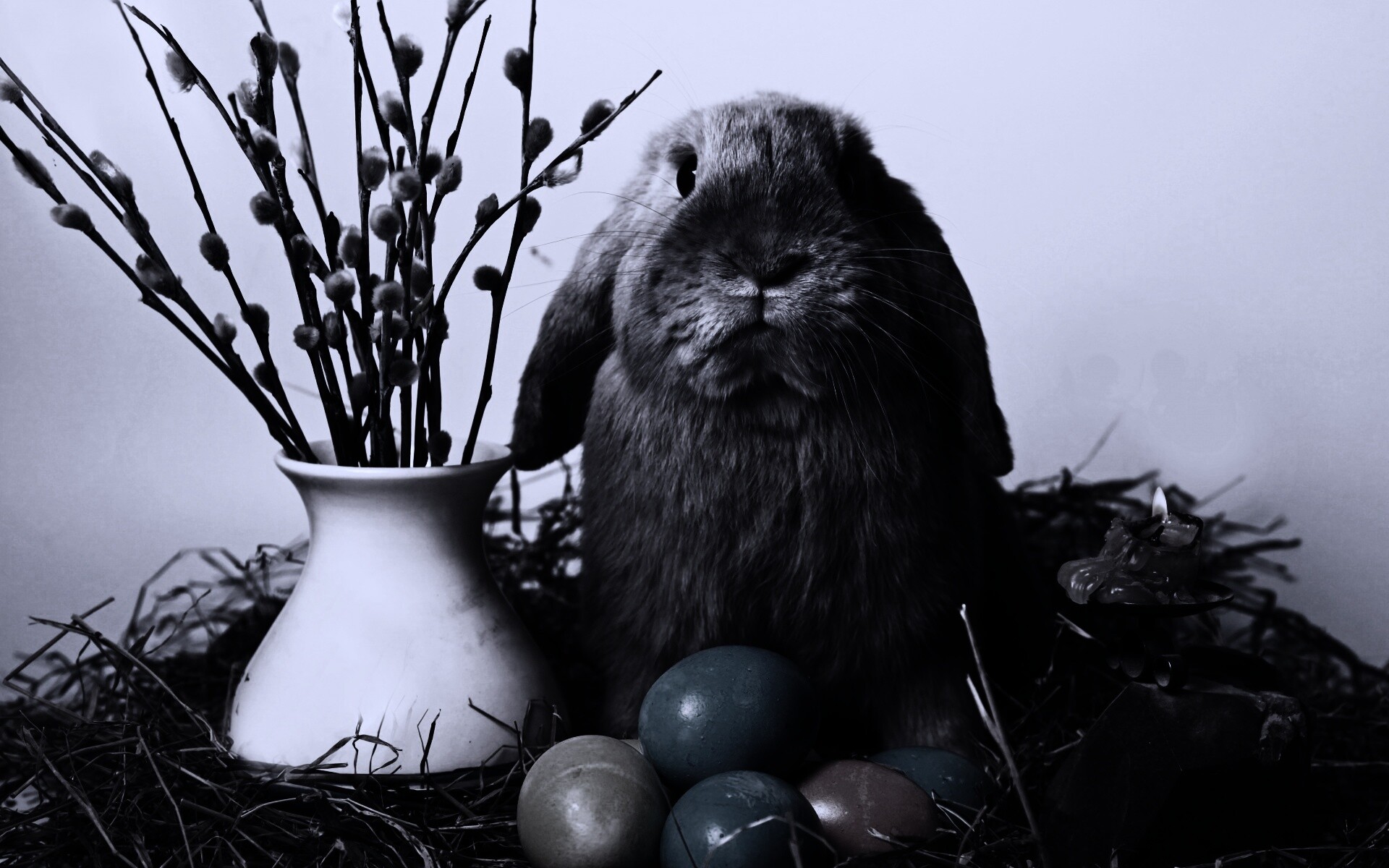 Пасхальный кролик обои