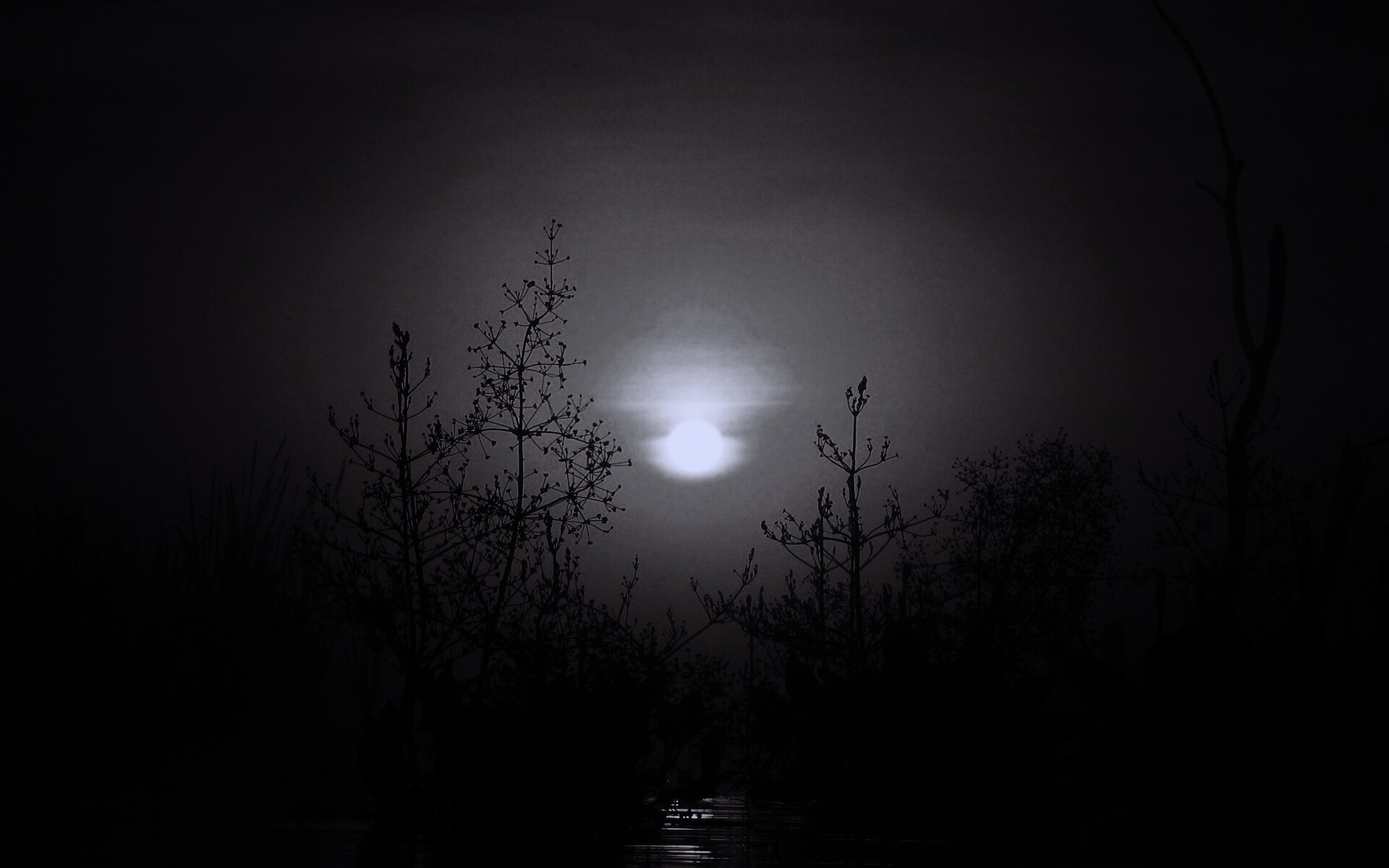 Доисторическое утро обои