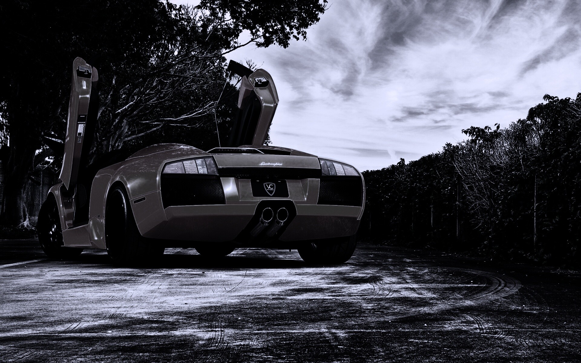 Оранжевая Мюрселаго обои