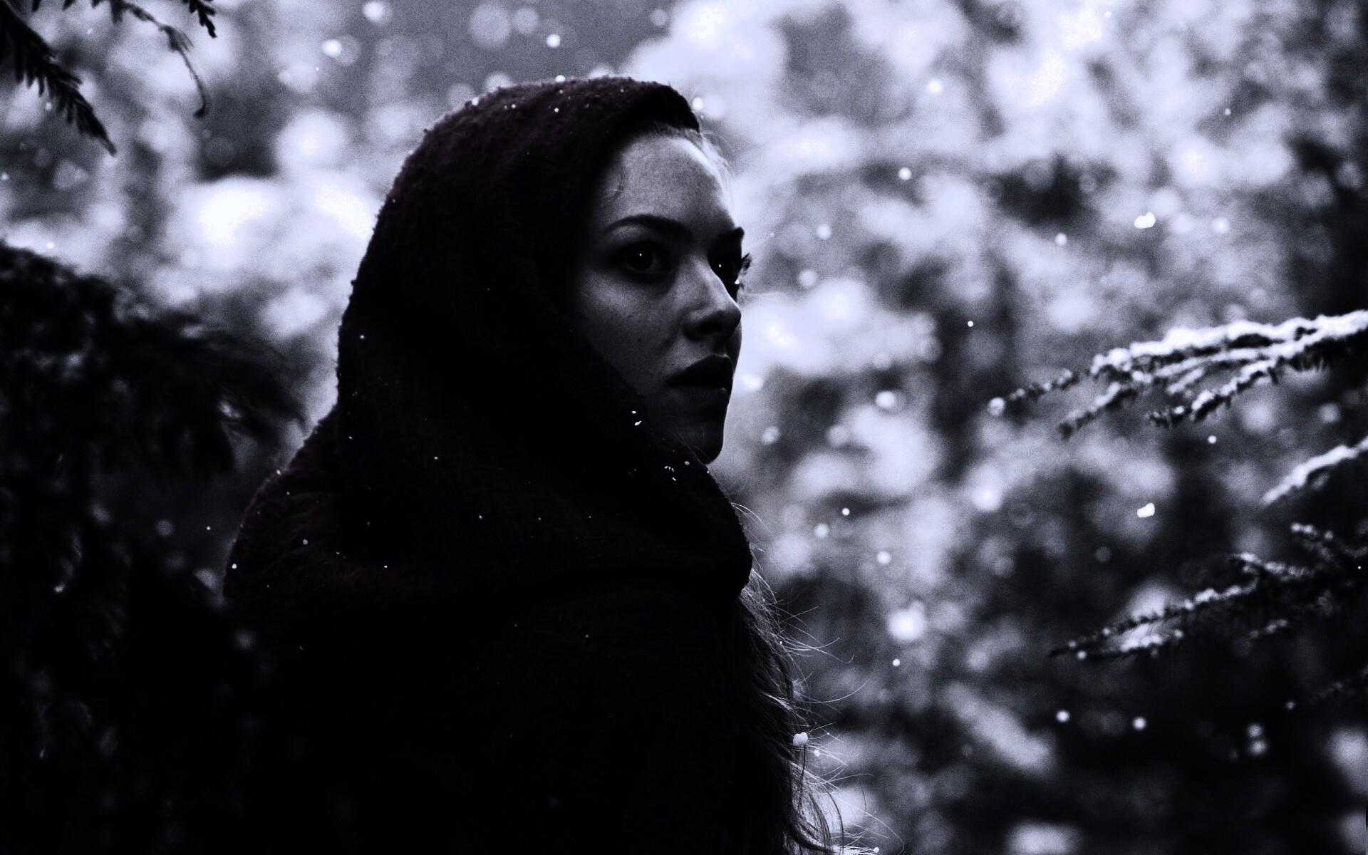 Amanda Seyfried in Red Riding Hood обои