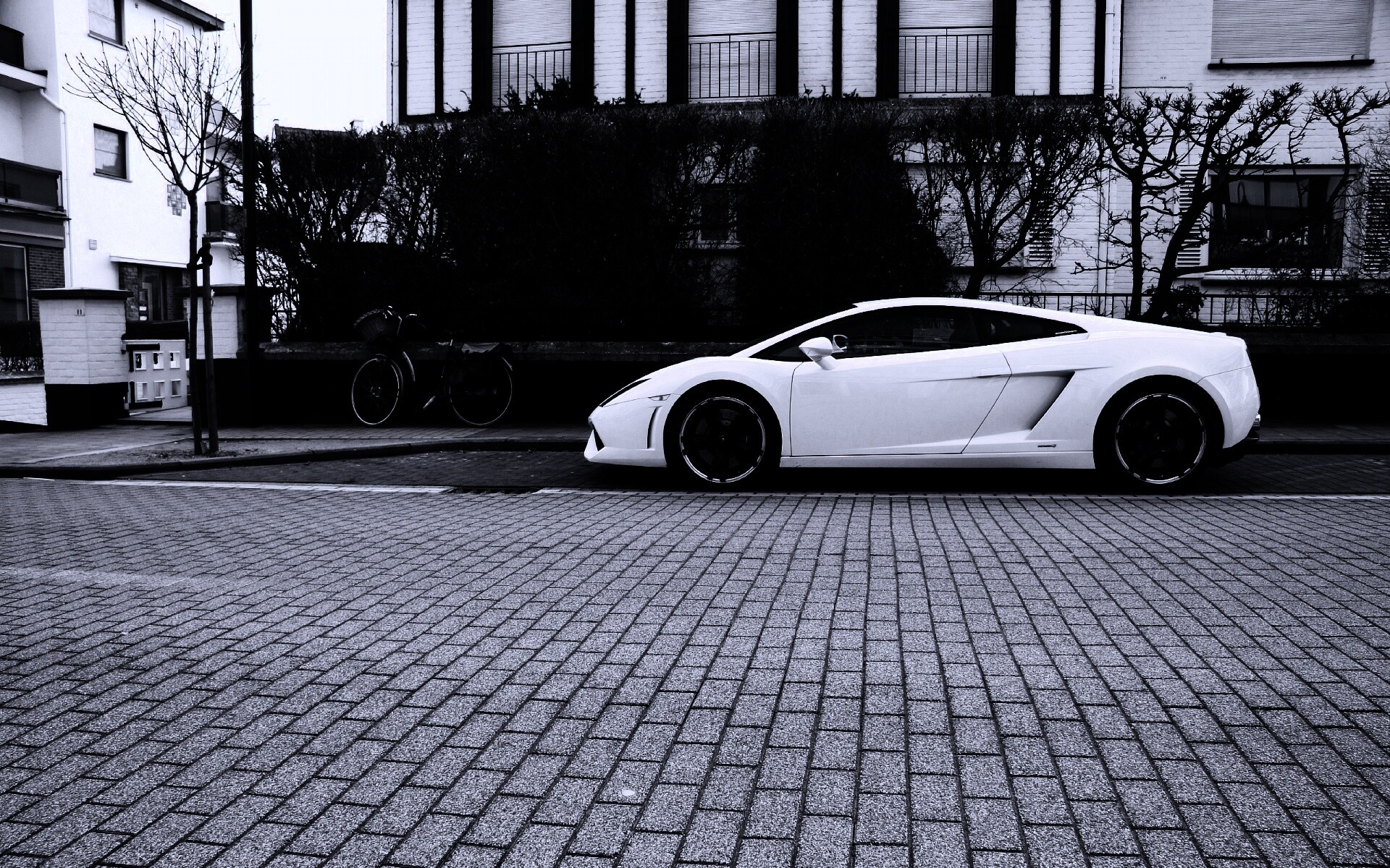 Белый Lamborghini обои