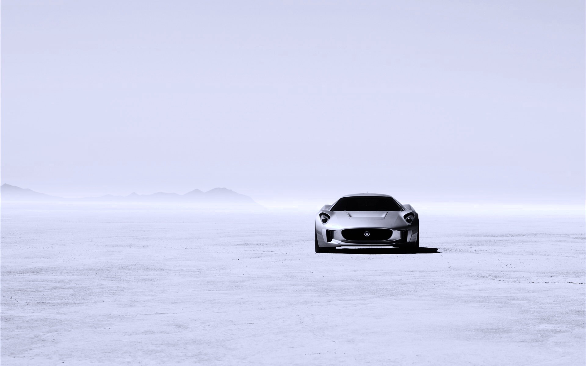 Ягуар подкрадывается обои