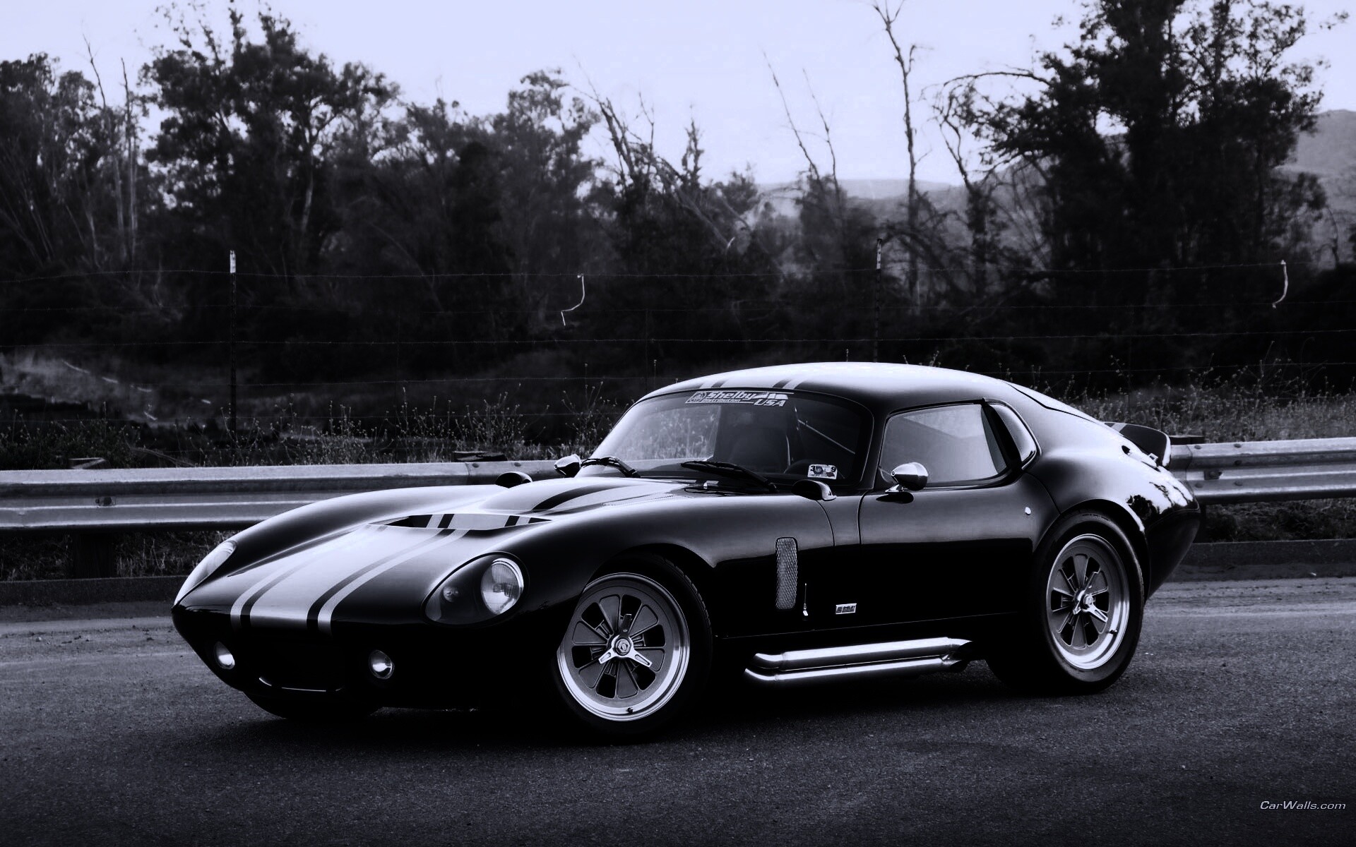 Shelby Daytona обои