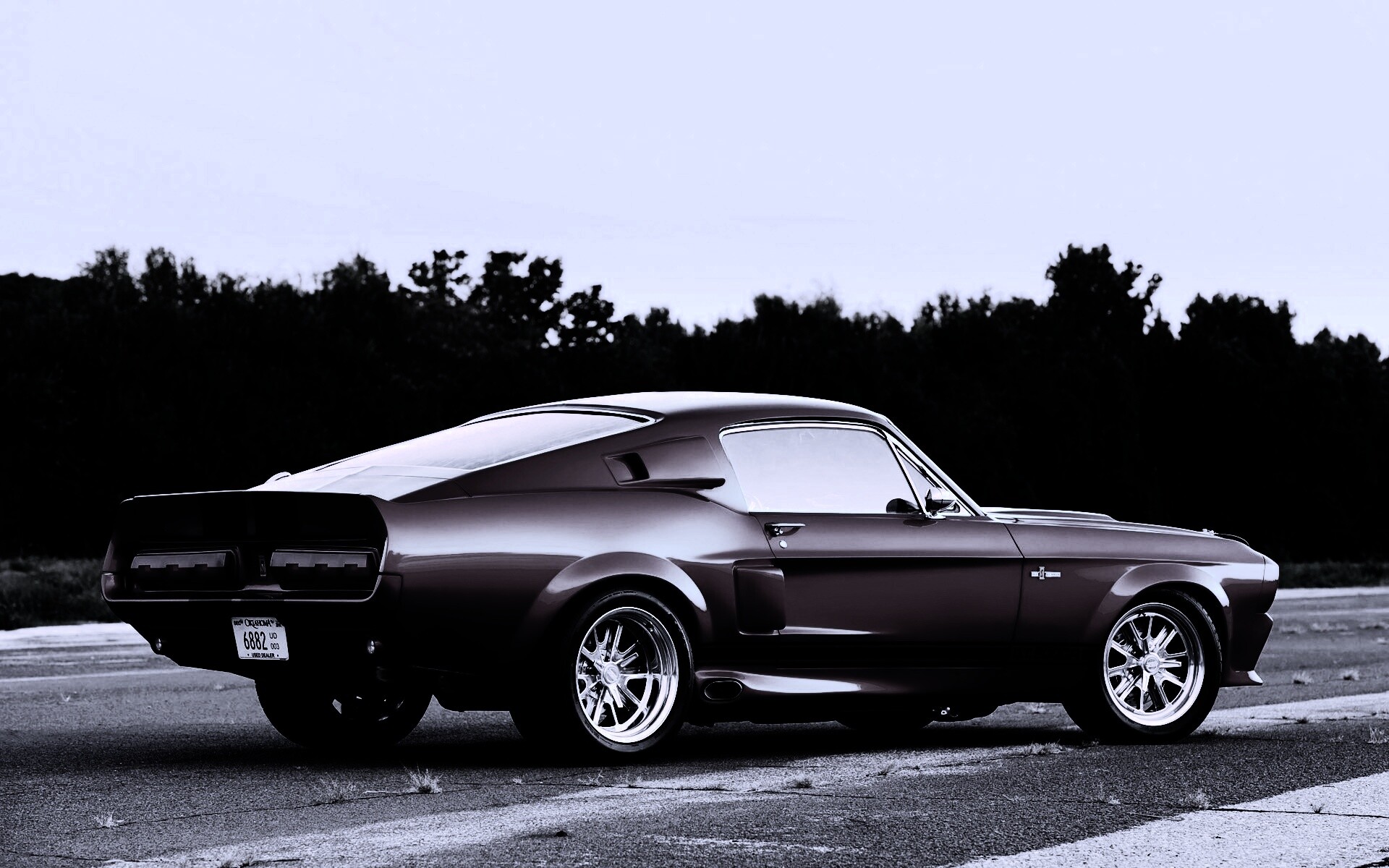 Shelby GT500 CR обои