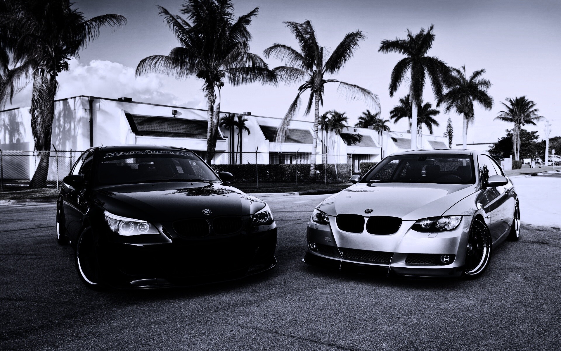 Две БМВ обои