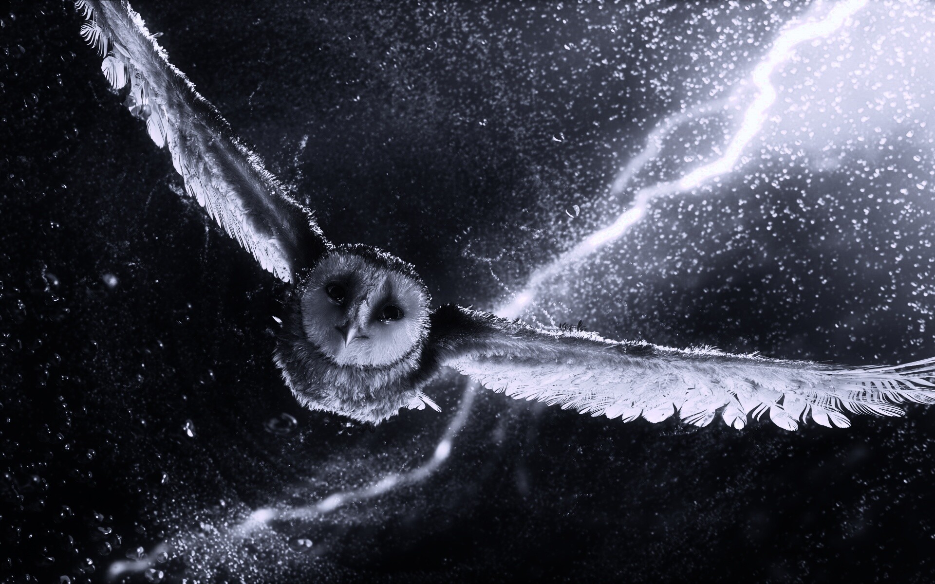 Ночные стражи обои