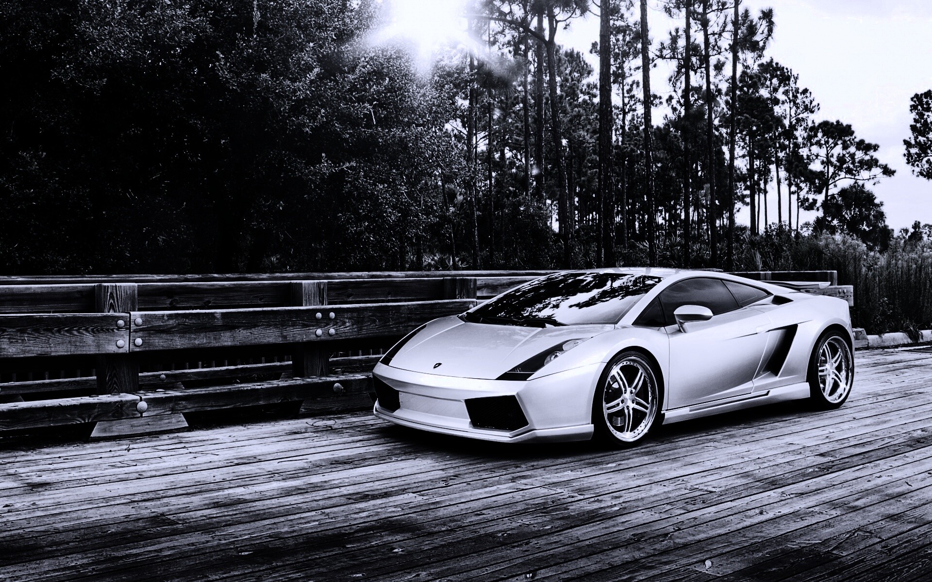 Ламбоджини на мосту в лесу обои