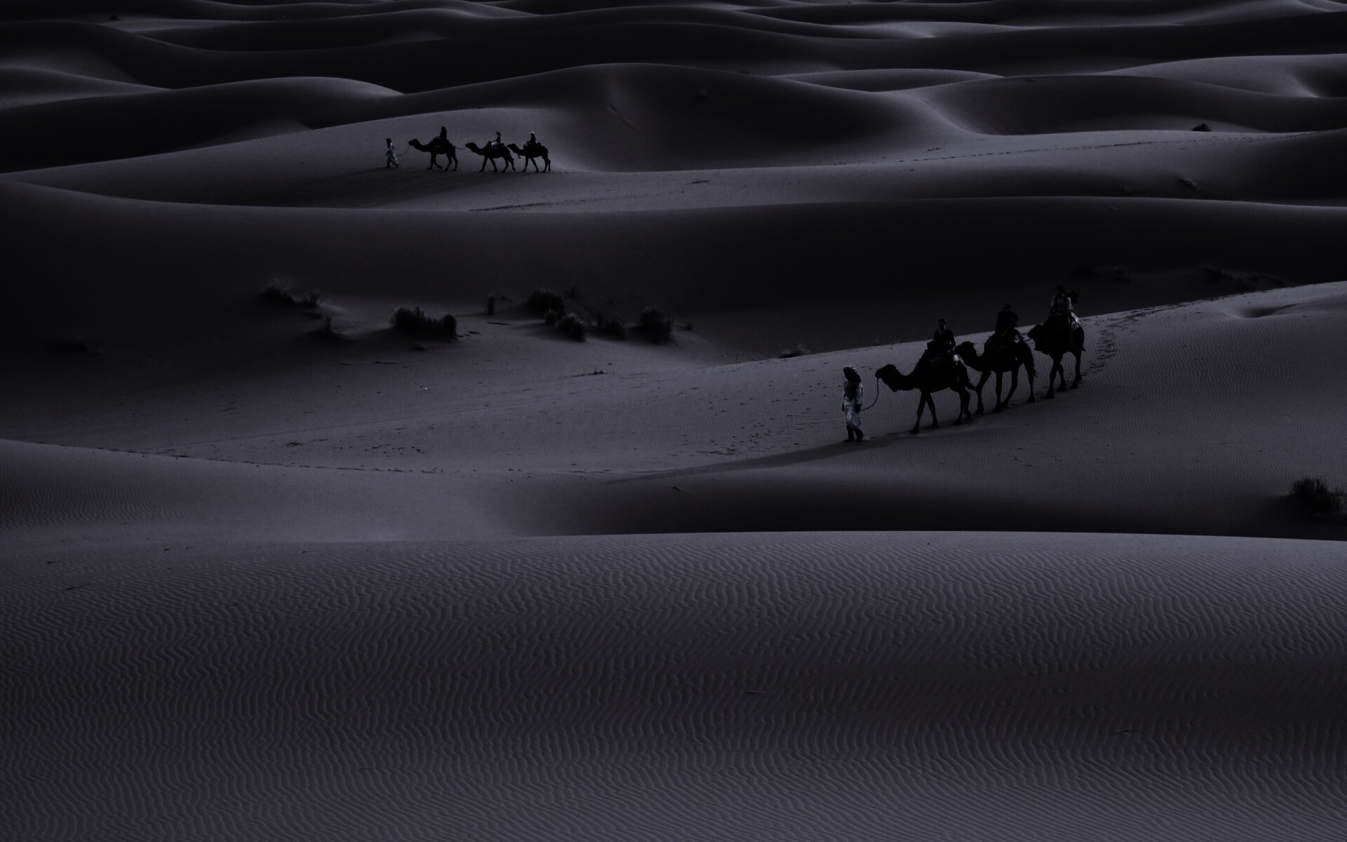Караваны пустыни обои