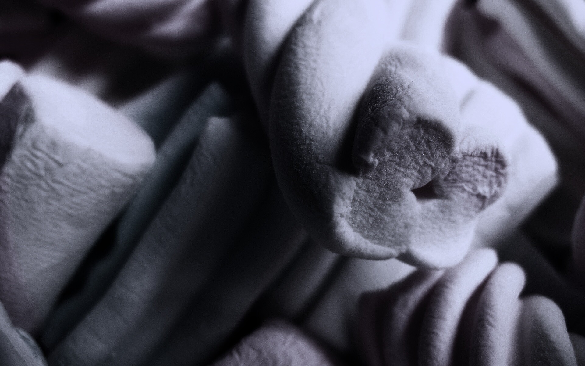 Кручёный зефир обои