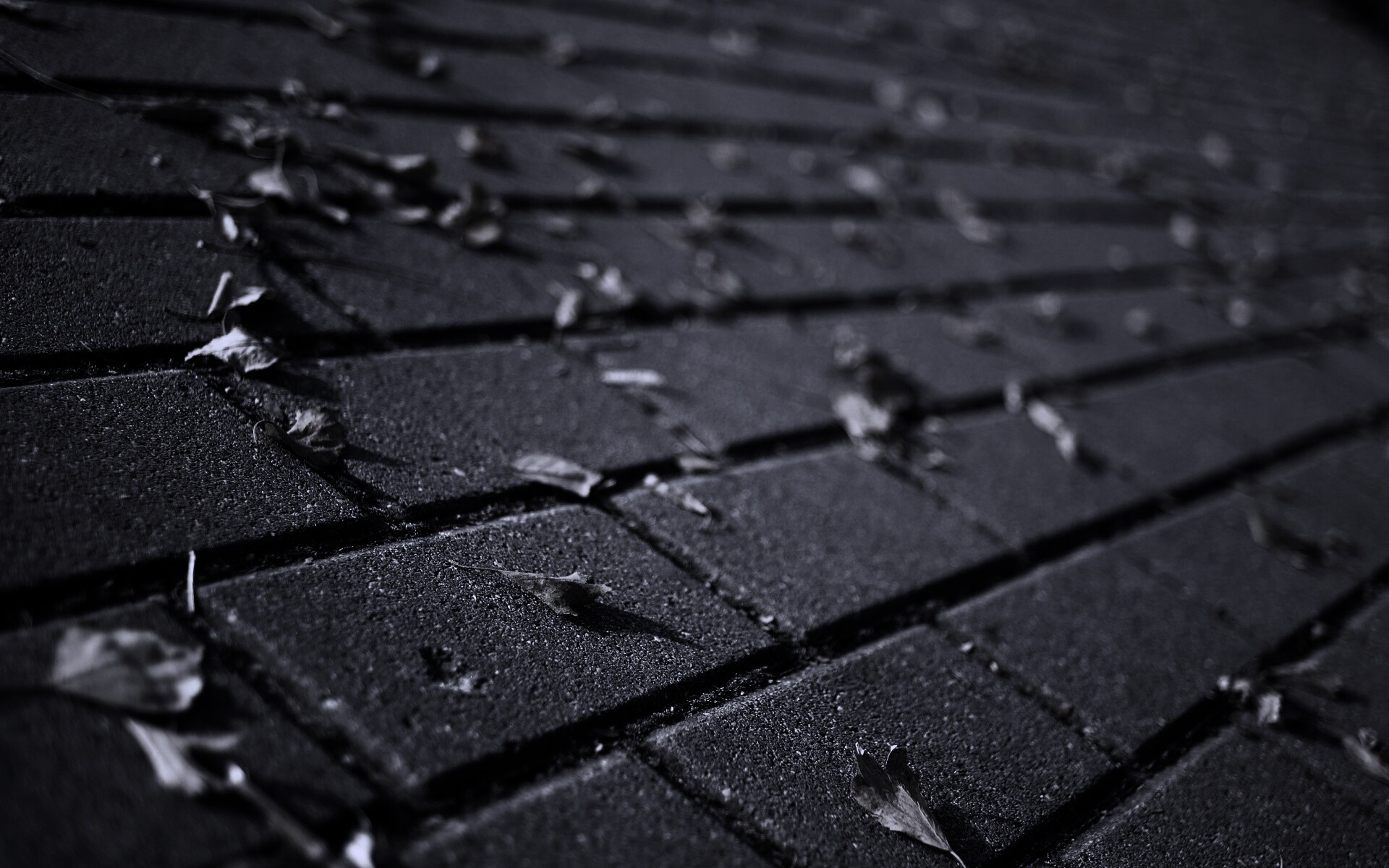 Тротуар обои