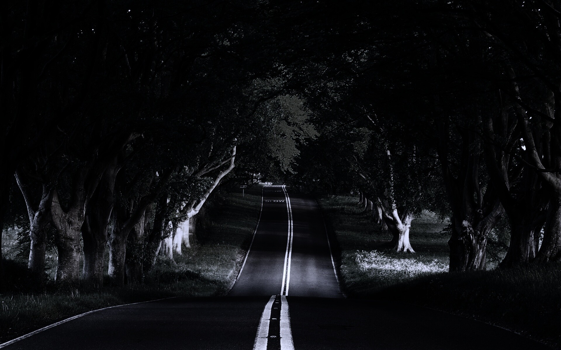 Дорога через лес обои