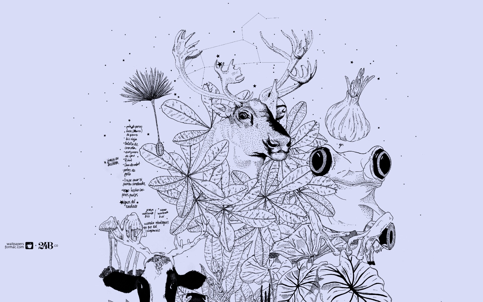 Животные на рабочий стол Apple обои