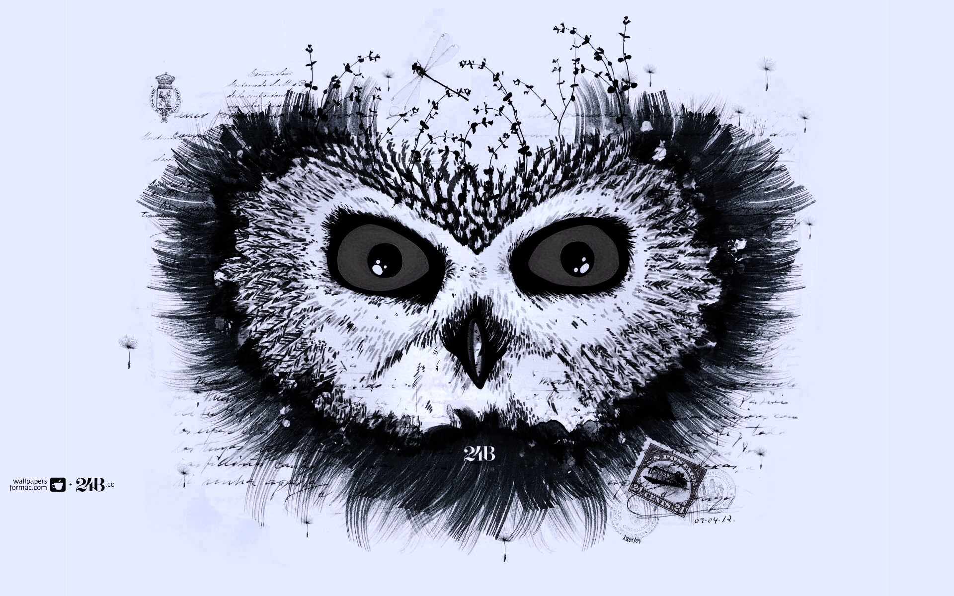 Обои сова для mac book обои